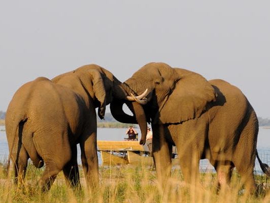 Lower Zambezi National Park