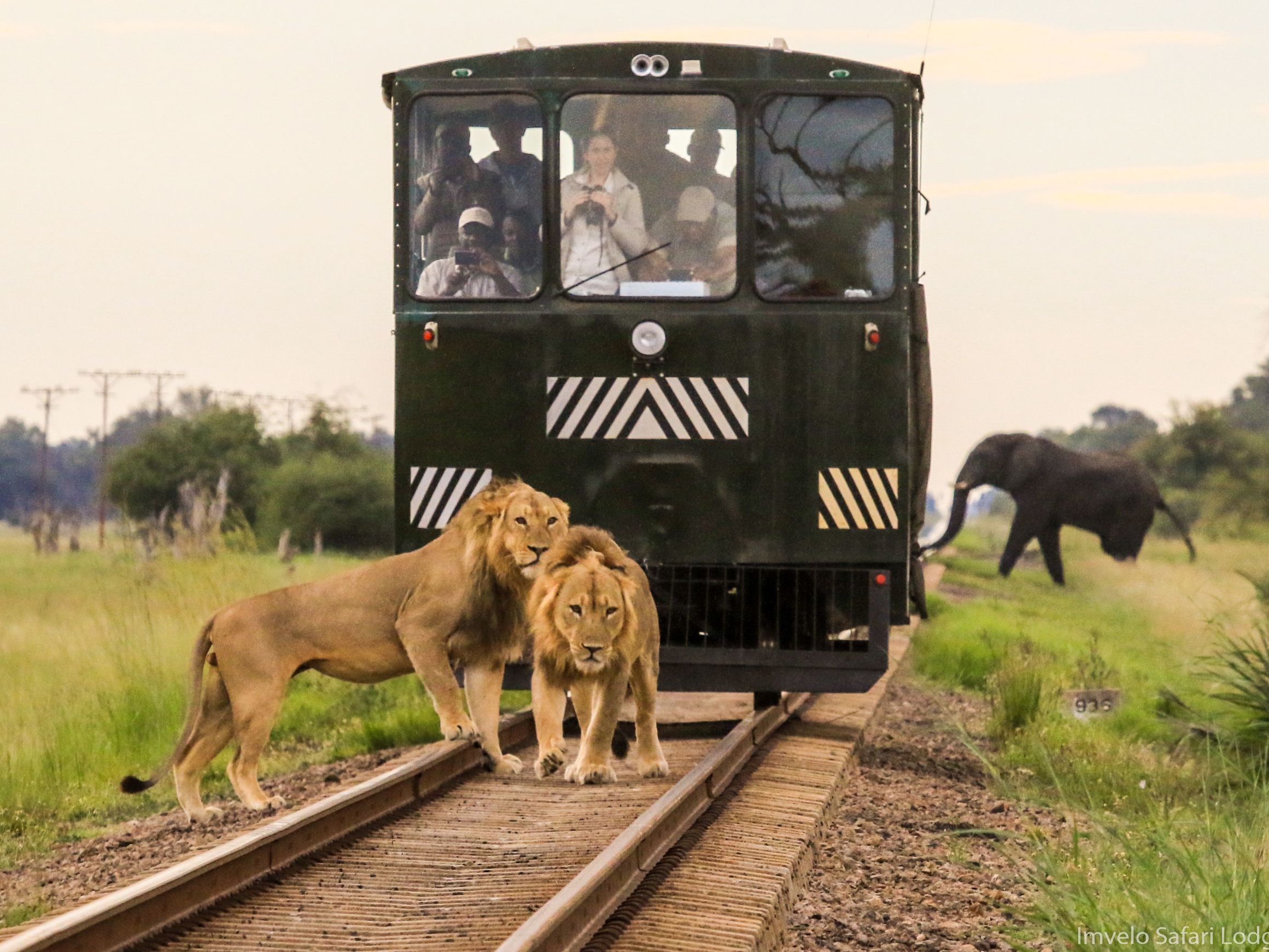 Hwange National Park