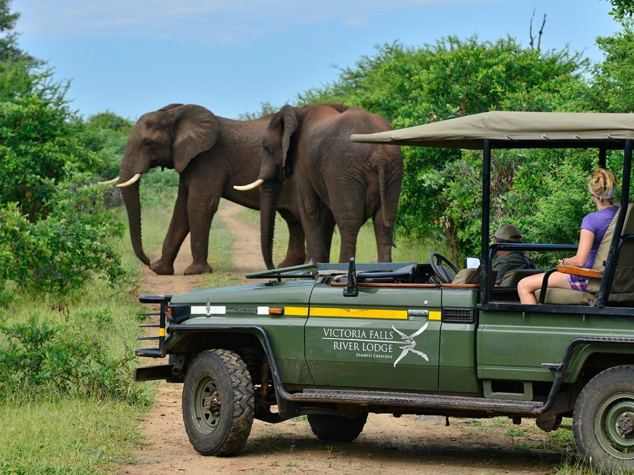 Full Day at Victoria Falls River Lodge