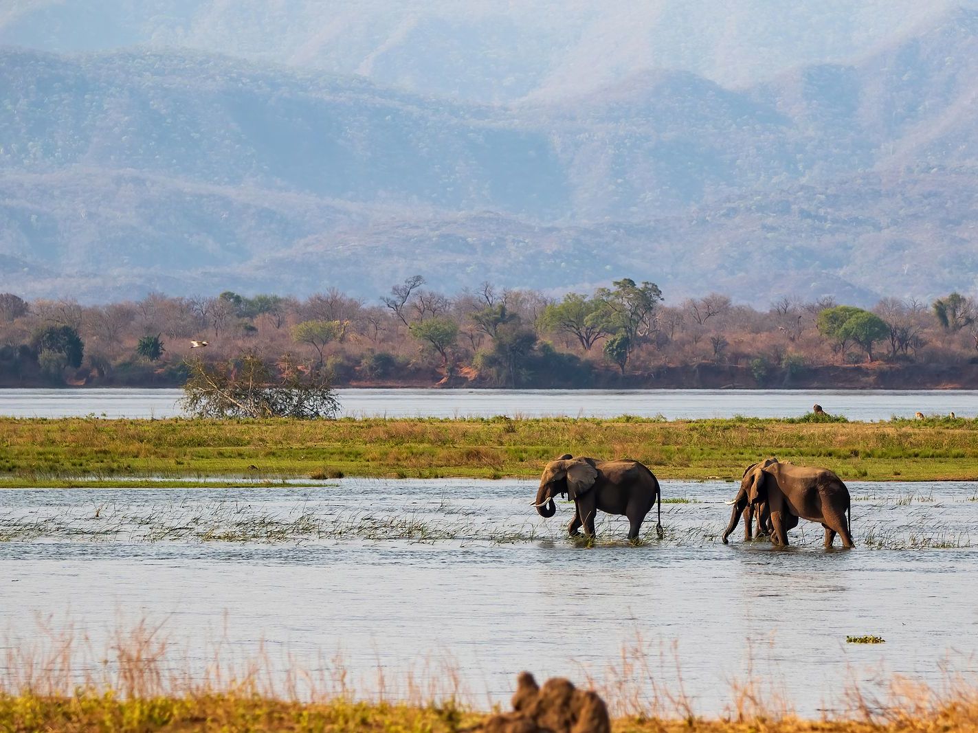 About Mana Pools National Park, Zimbabwe