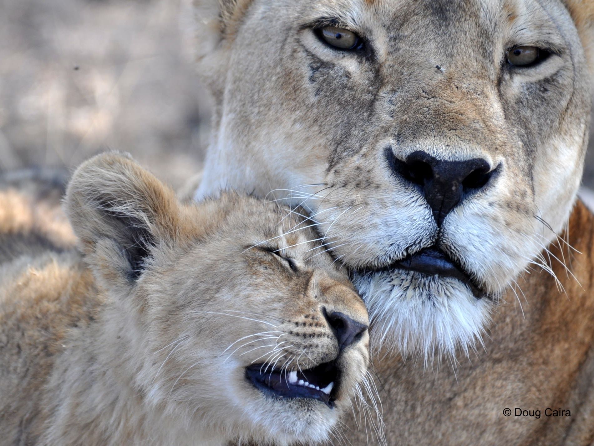 Samburu Game Reserve