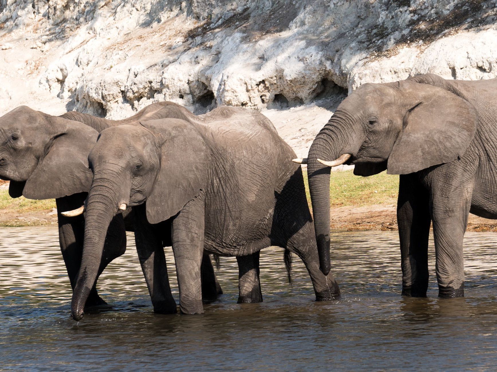 Samburu Game Reserve