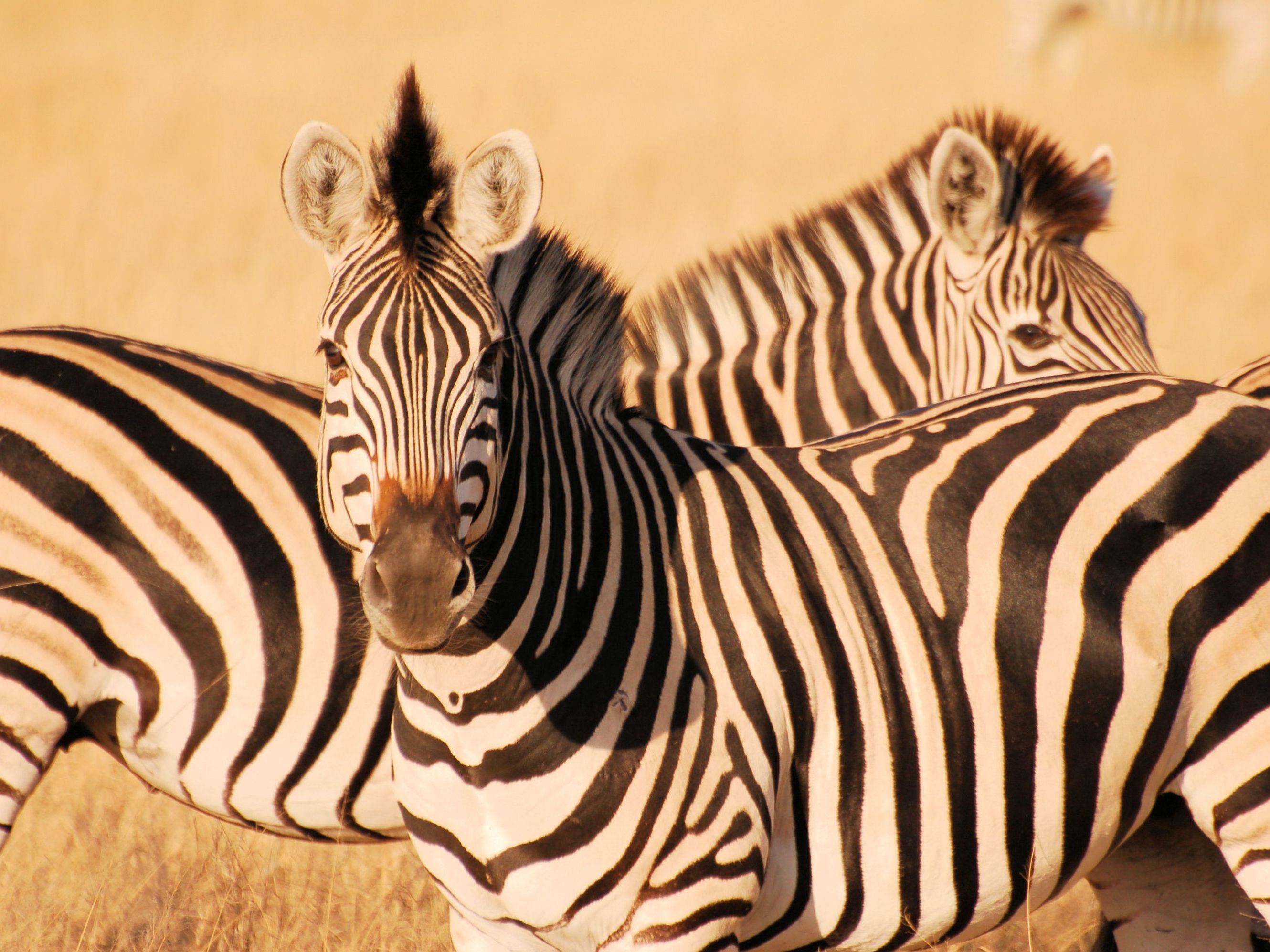Tarangire National Park