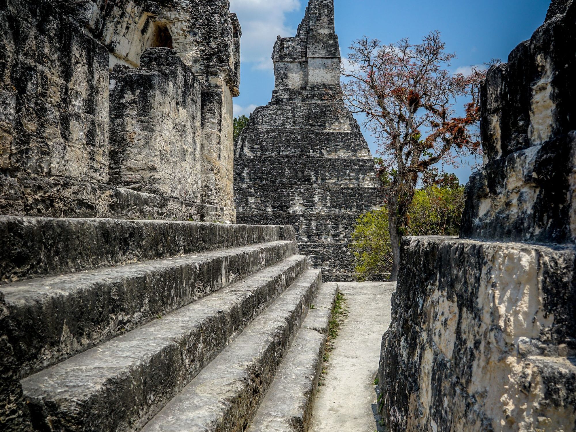 Tikal National Park & Uaxactun Mayan Ruins