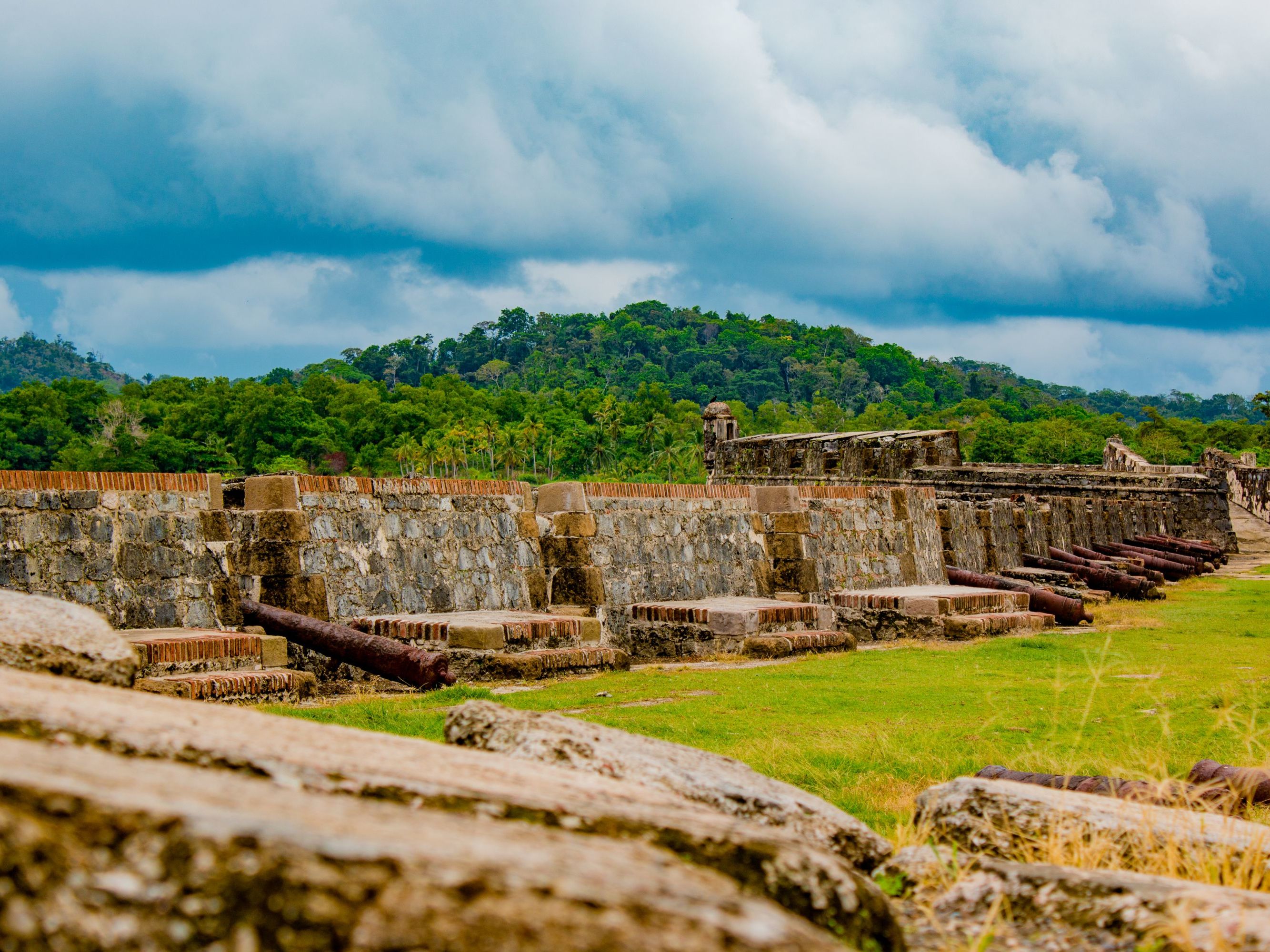 Introducing Portobelo