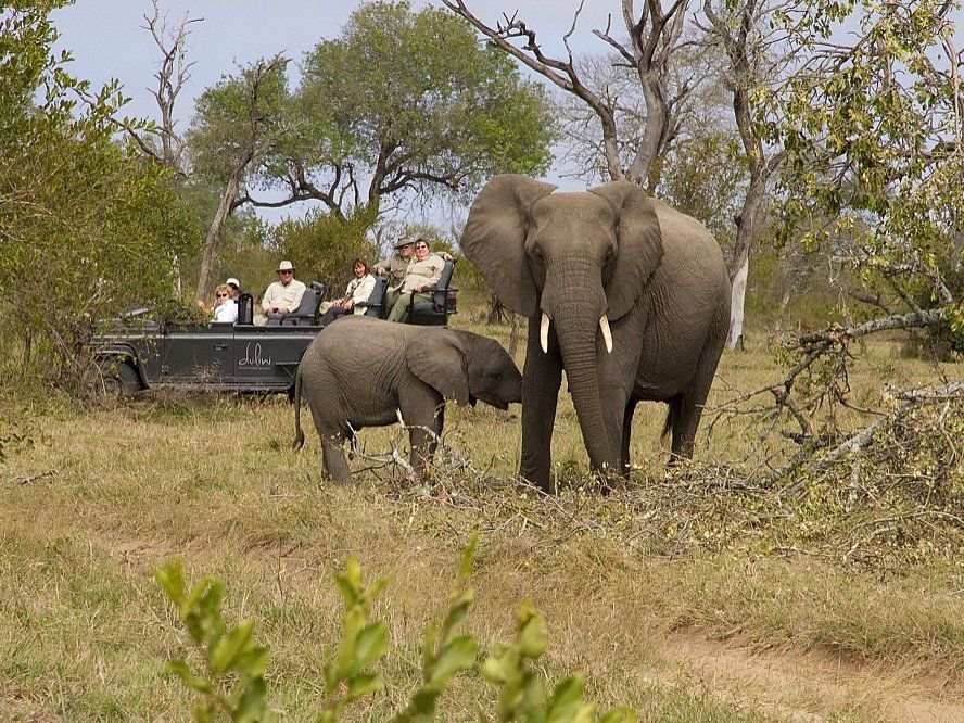 Sabi Sand Game Reserve