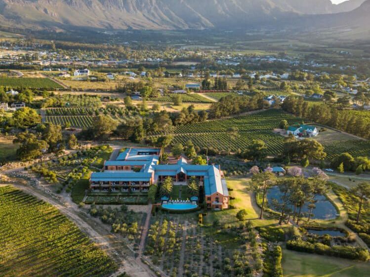 Wine Region Tour/Full Day