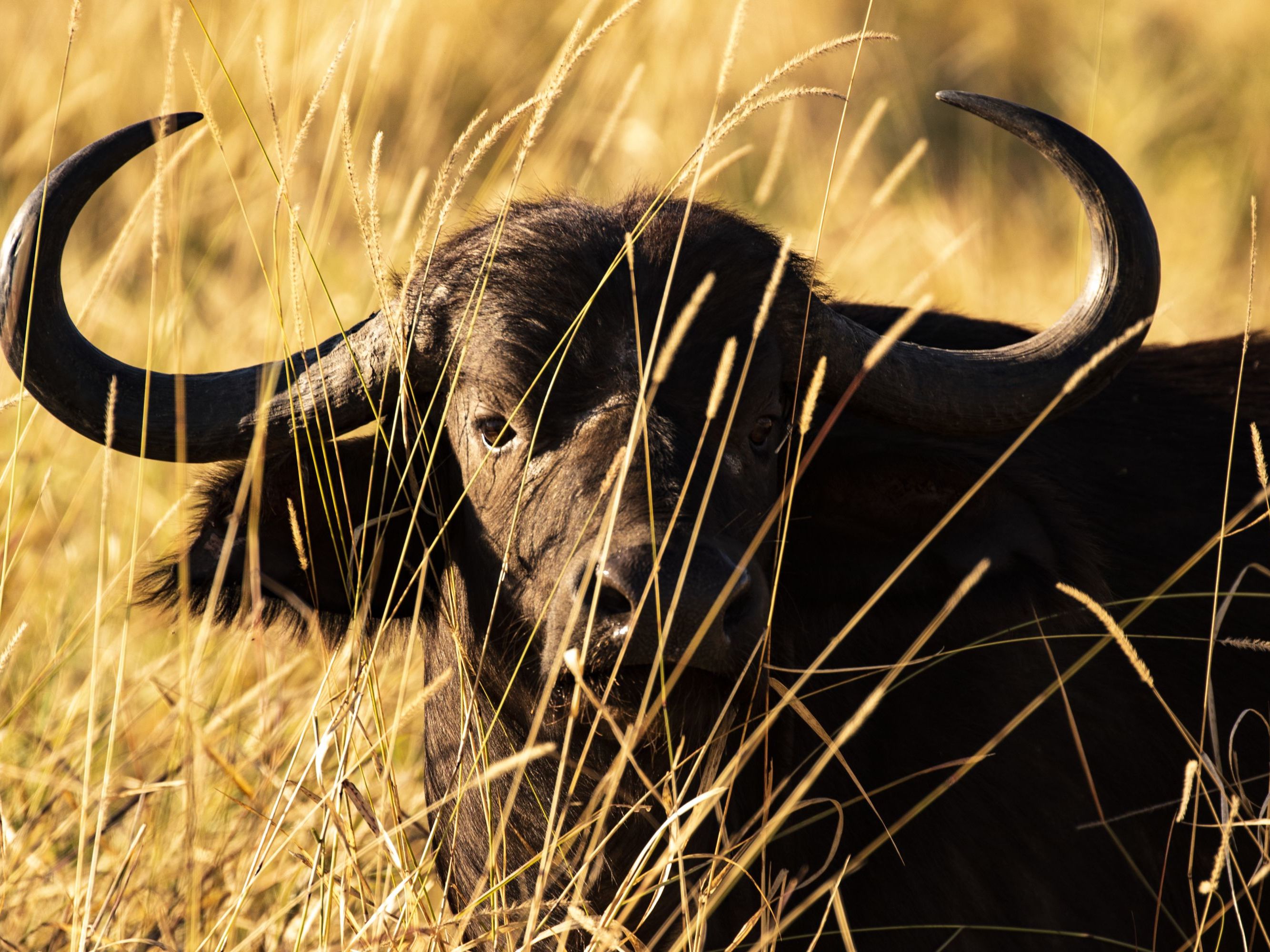Sabi Sands Private Game Reserve