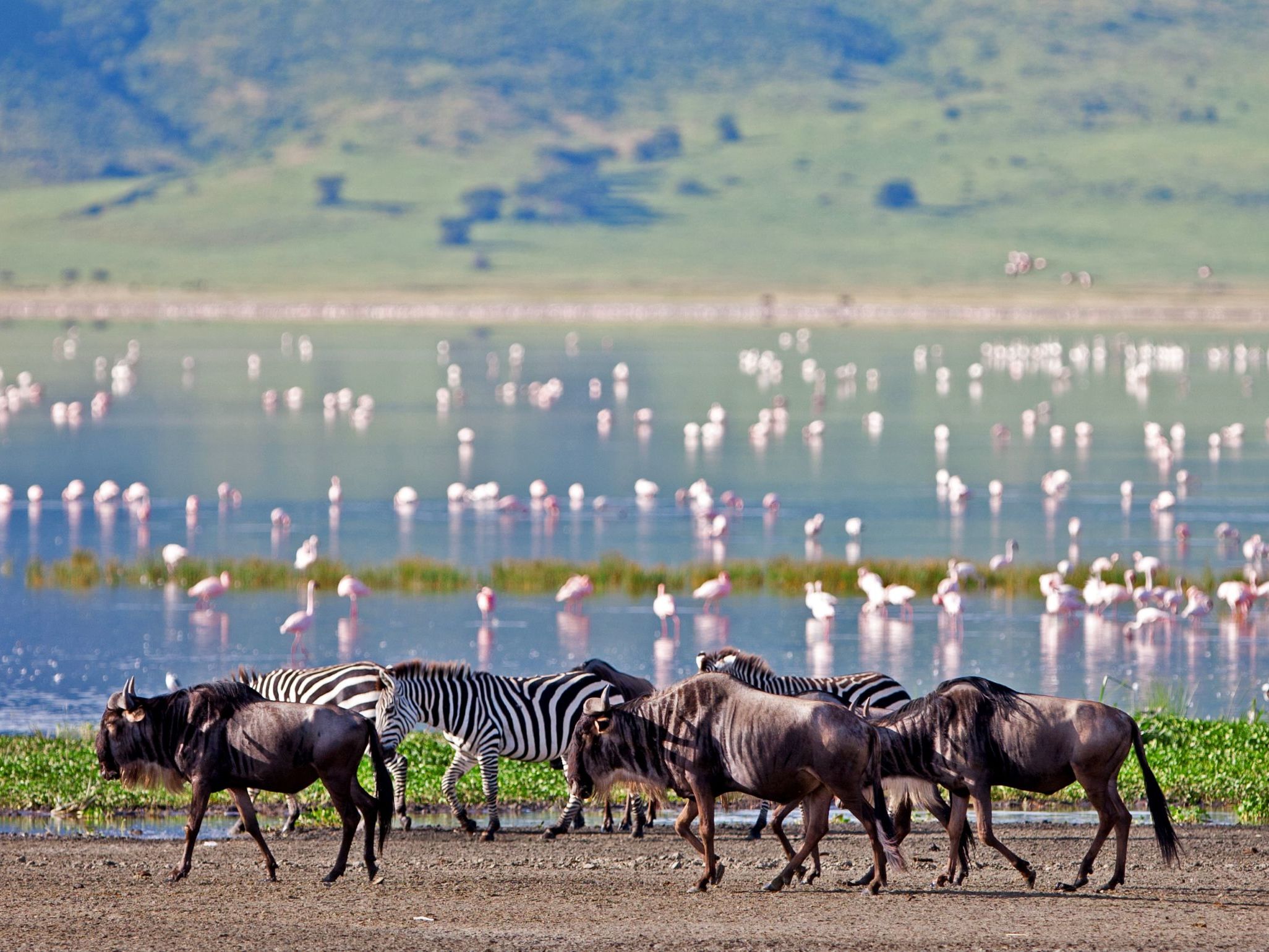 Ngorongoro Crater