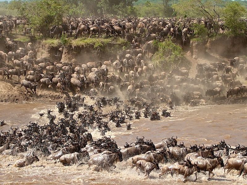 Northern Serengeti National Park