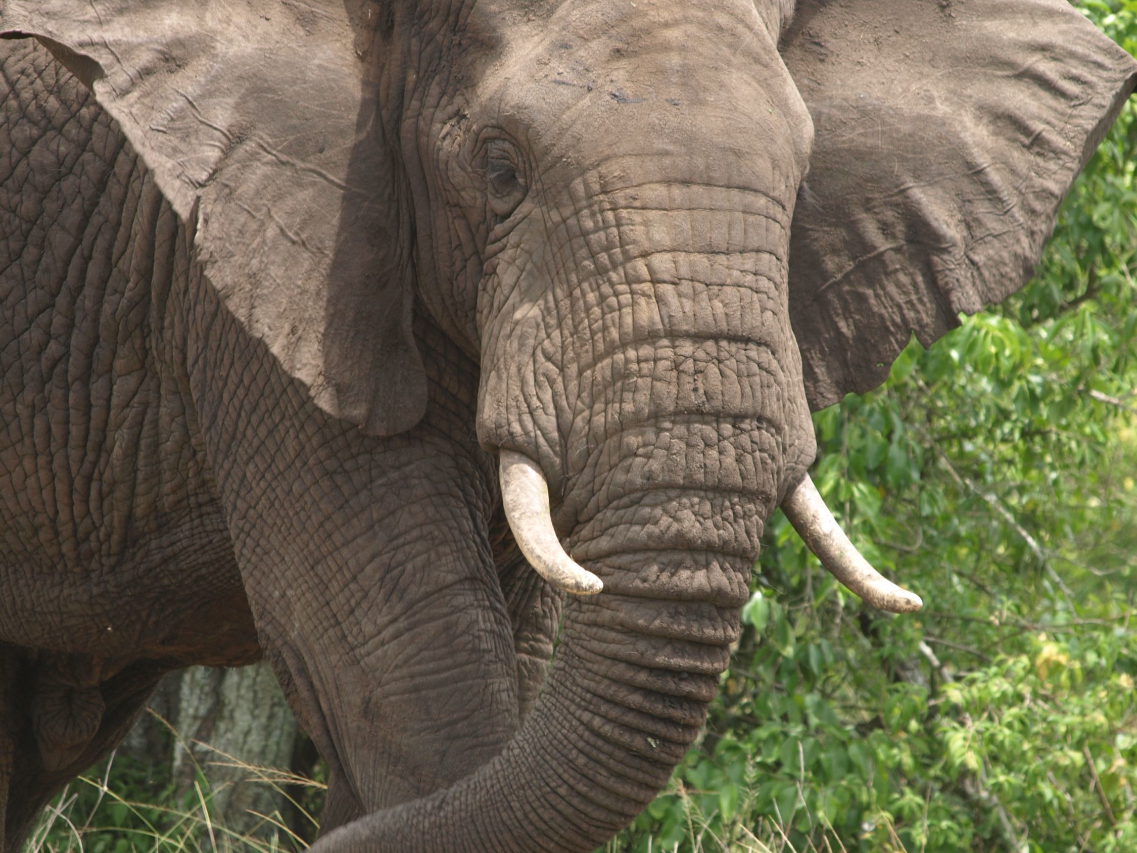 Departure flight from Dar-es-salaam  Airport
