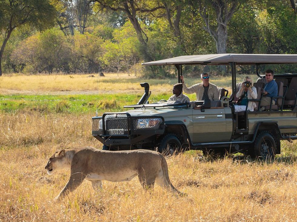On safari in the Okavango Delta