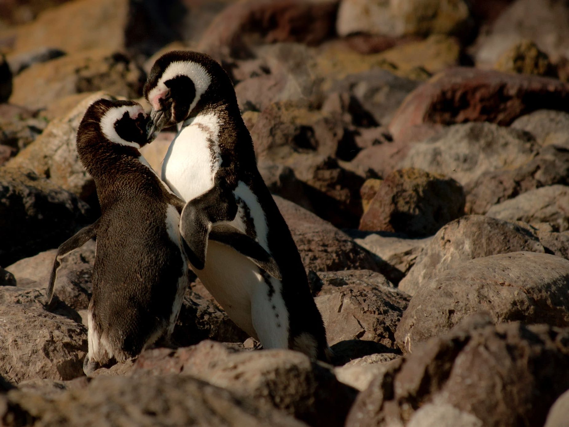 Darwin Camp - Included Excursions