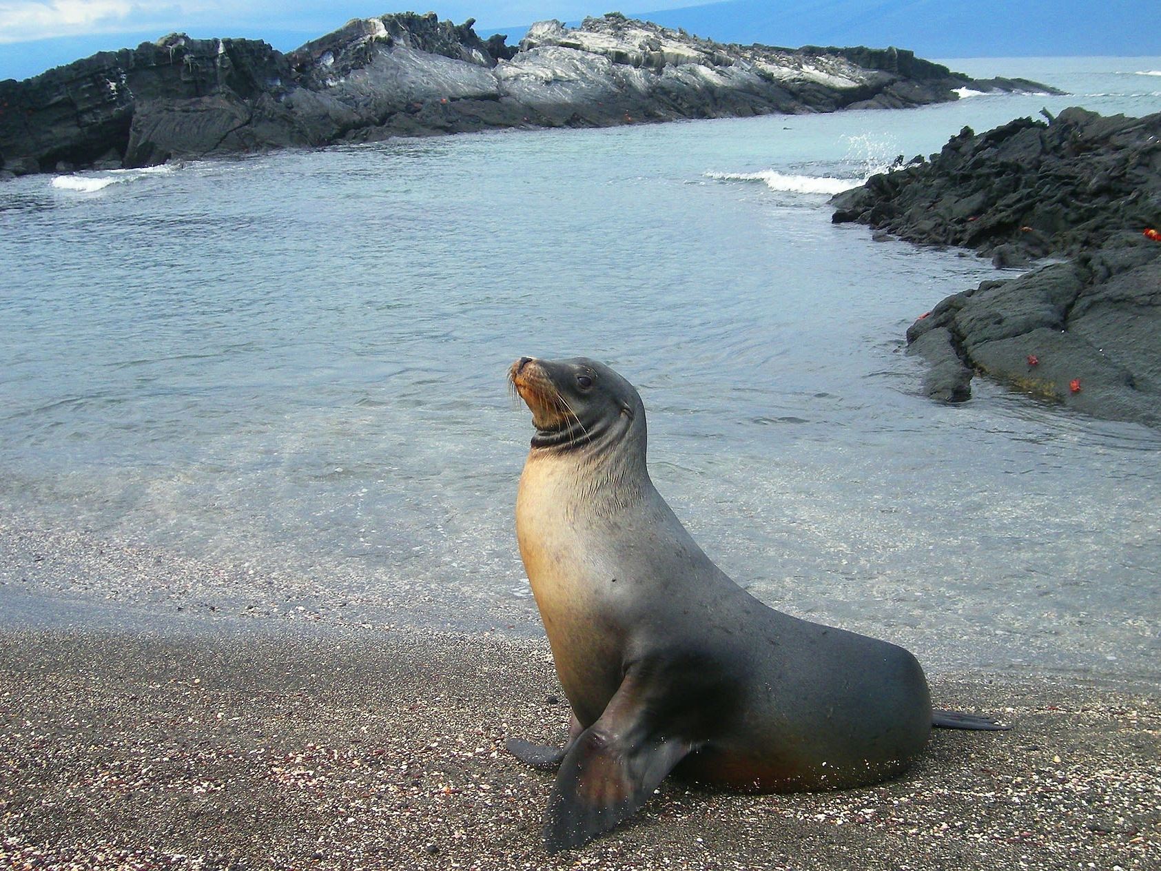 Introducing the Galapagos Islands