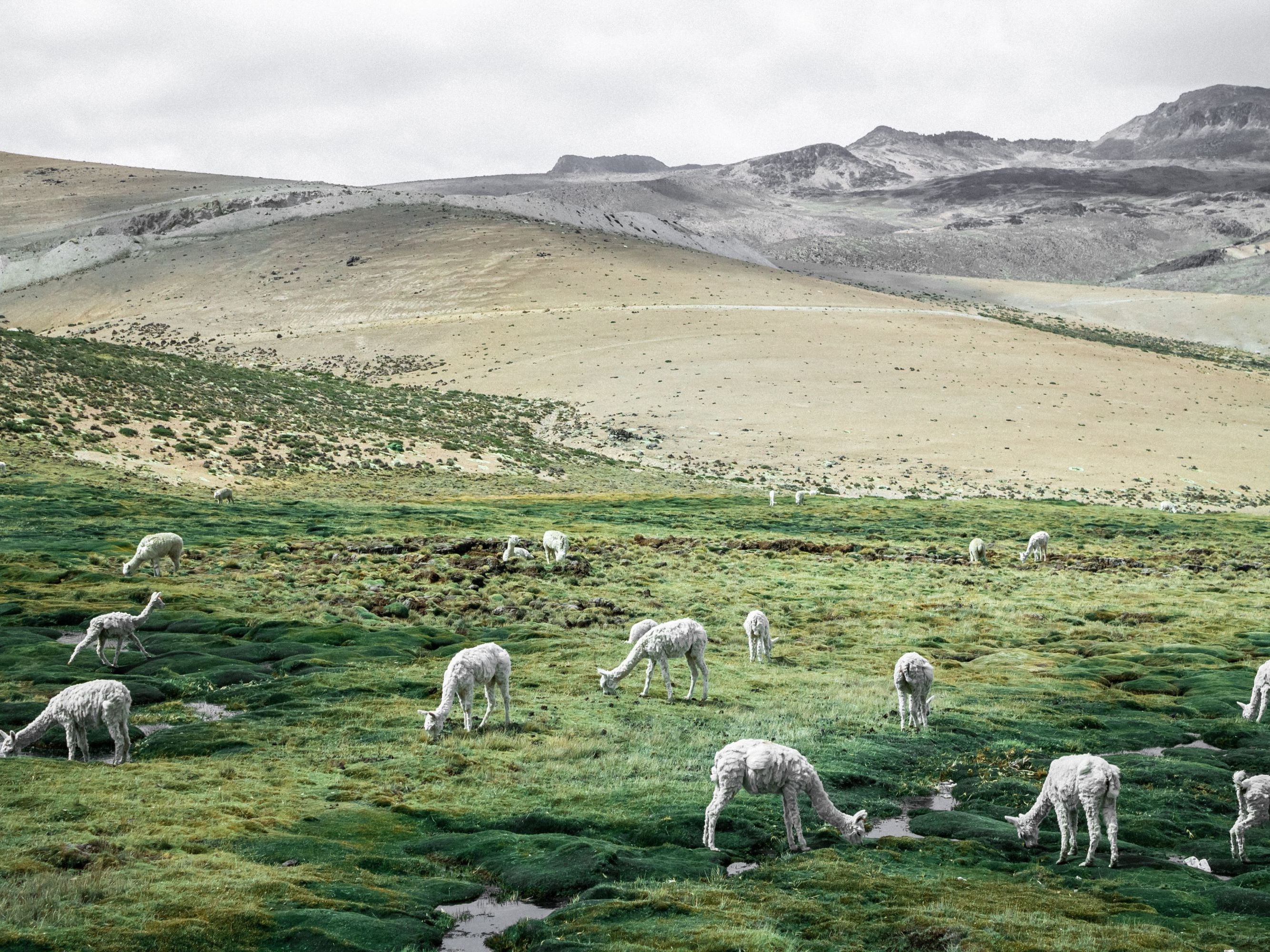 4x4 Adventure Drive to the Source of the Amazon and on to Colca Canyon