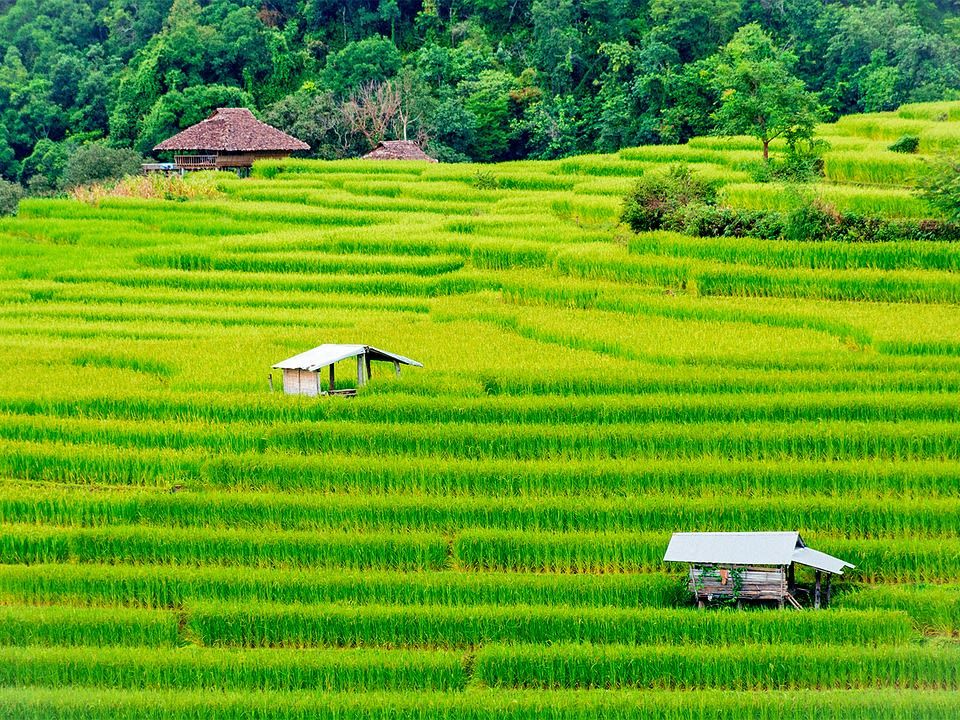 Introducing Chiang Mai