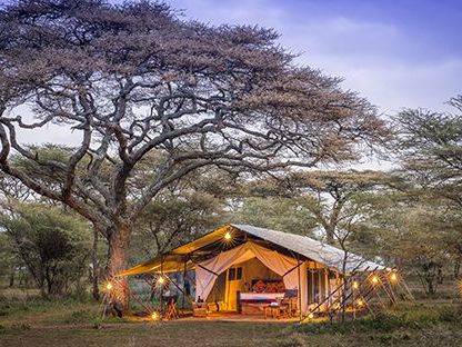 Fly to the Northern Serengeti