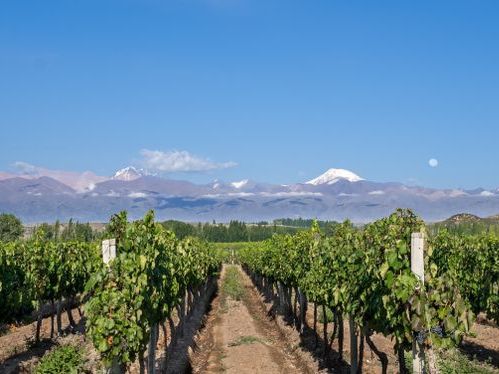 Introducing the Uco Valley