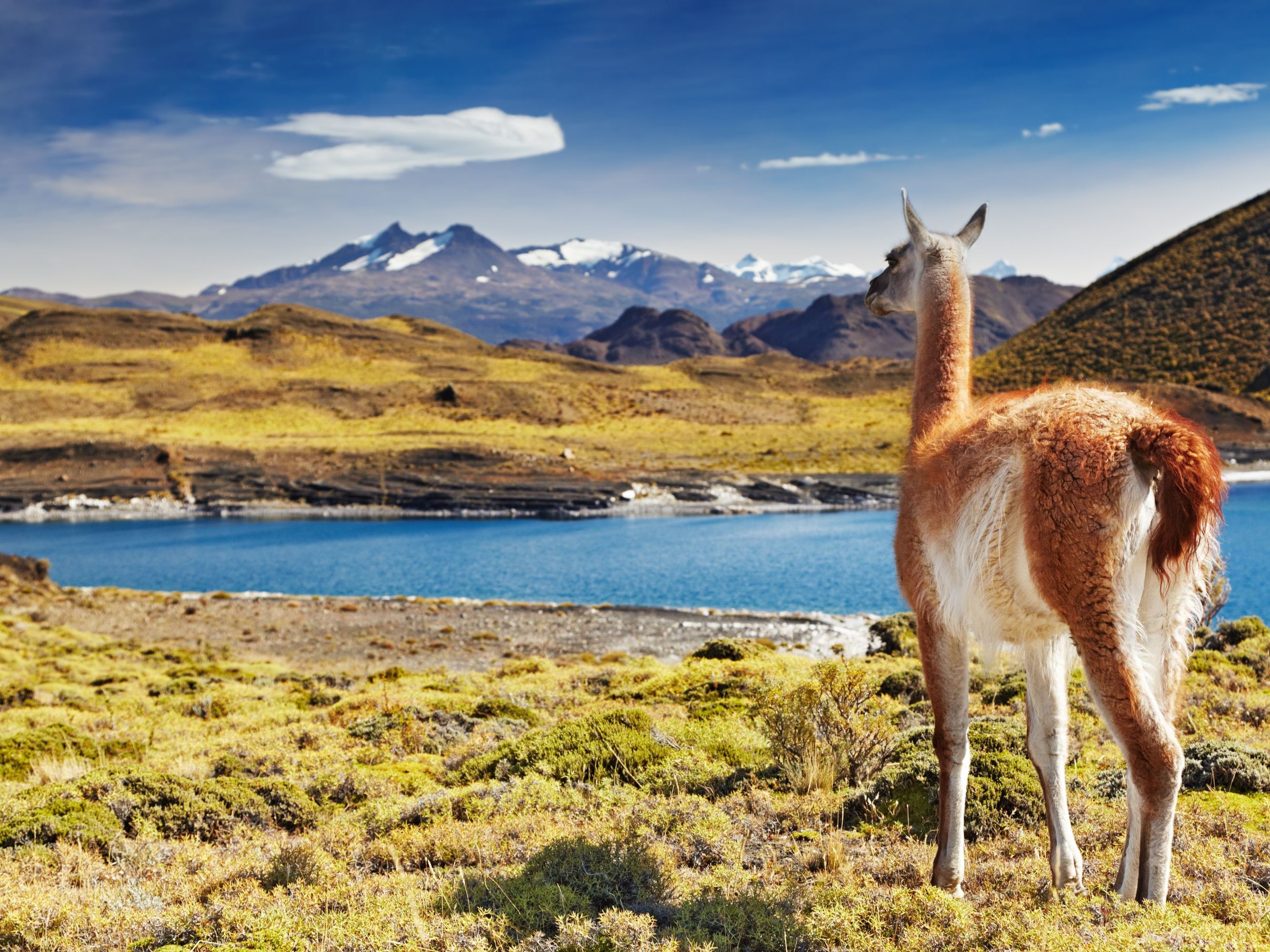 Full Day Trip into Torres del Paine National Park