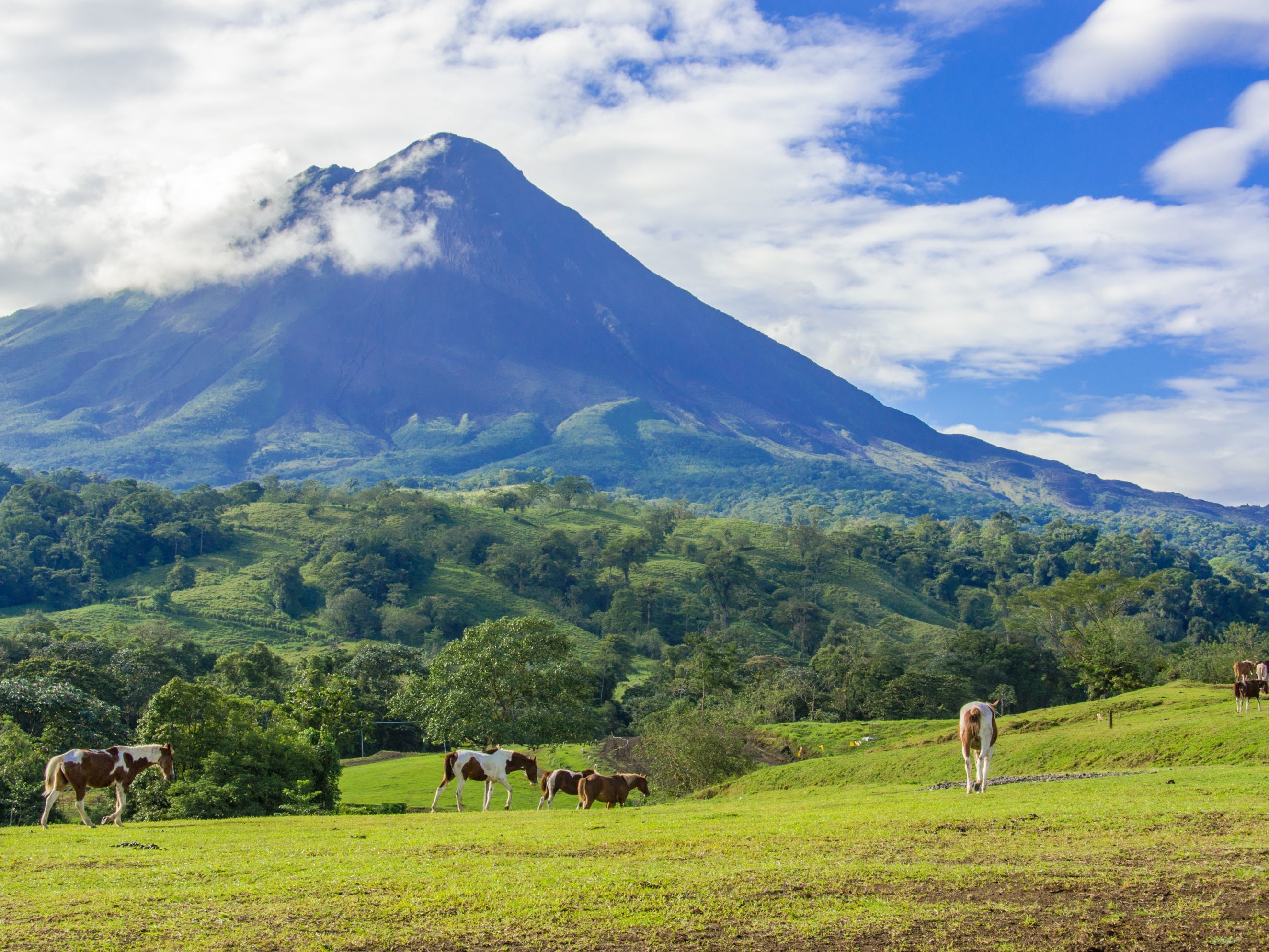 Introducing Costa Rica