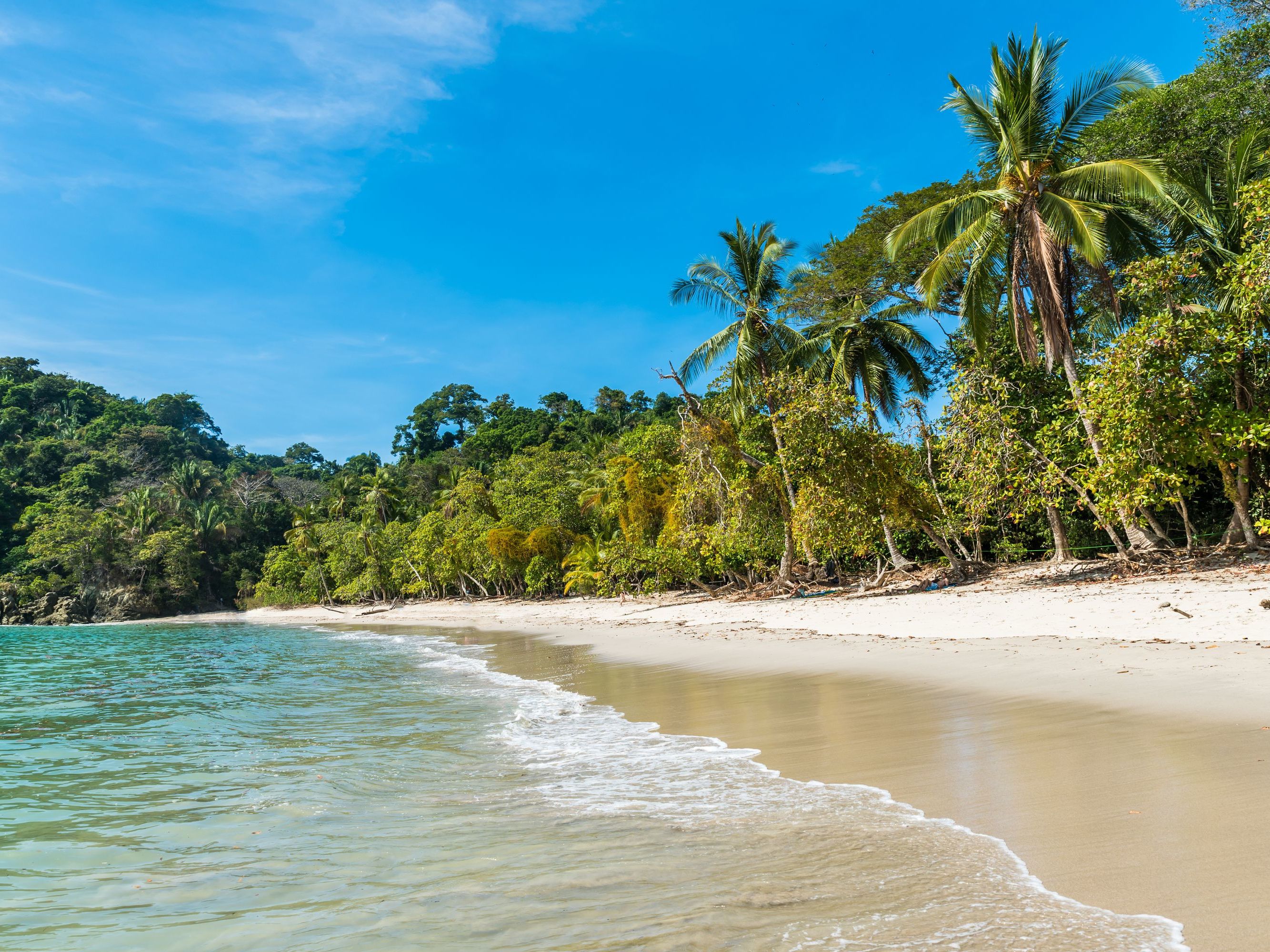 Introducing Puerto Viejo and the Caribbean Coastline