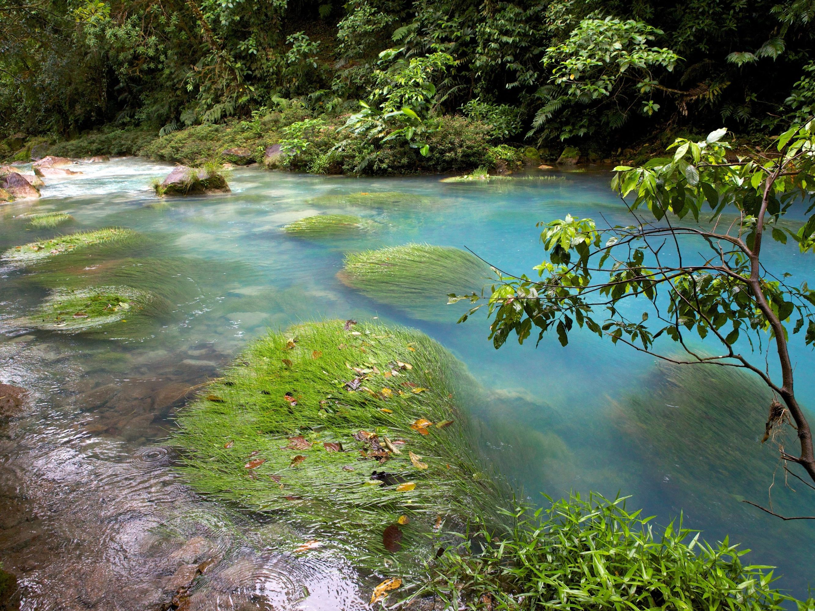 Rio Celeste & Tenorio Hike