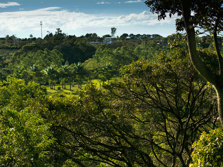 Finca Rosa Blanca Coffee Farm & Inn