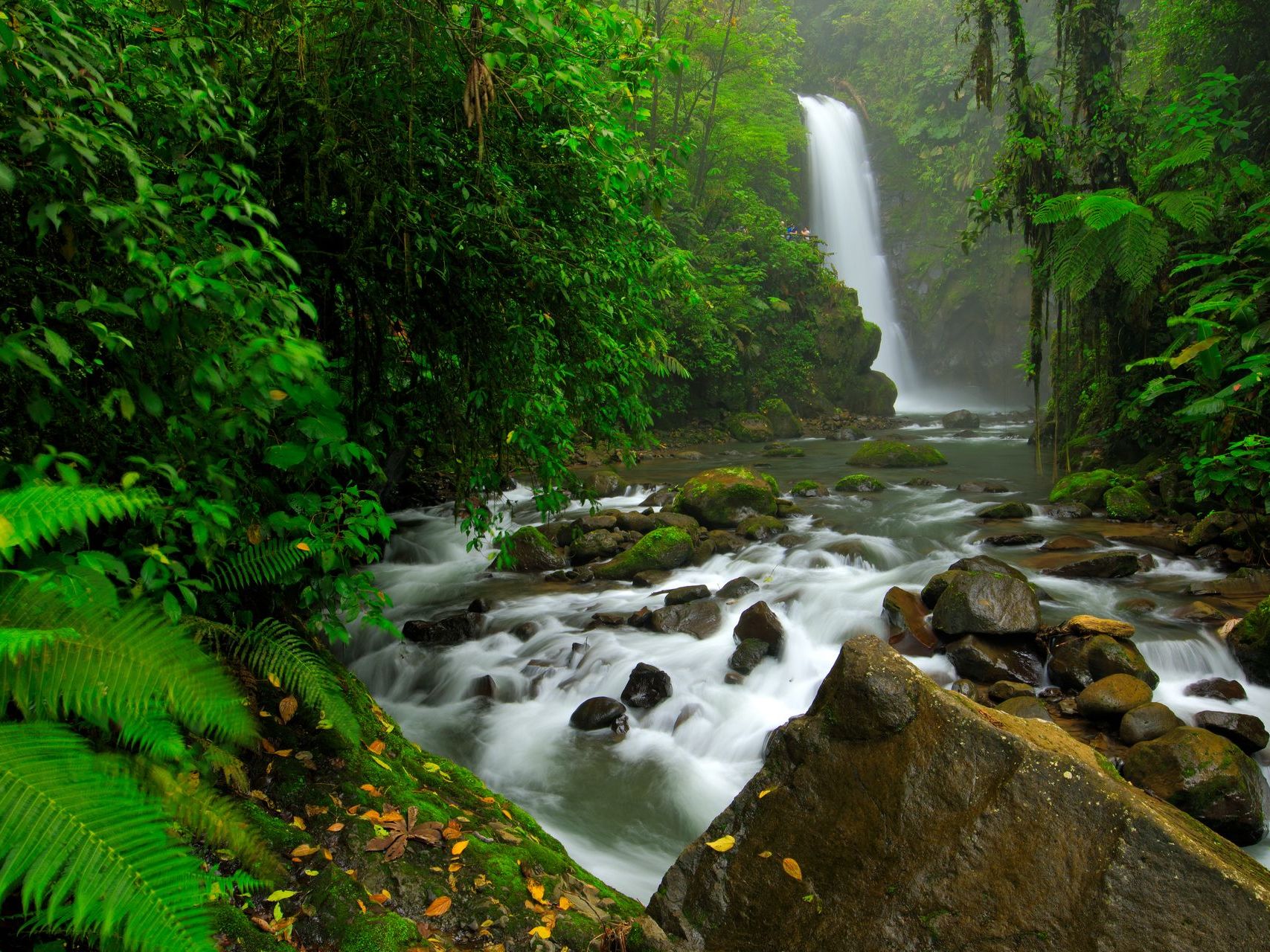 Poas Volcano Crater & La Paz Waterfall Gardens