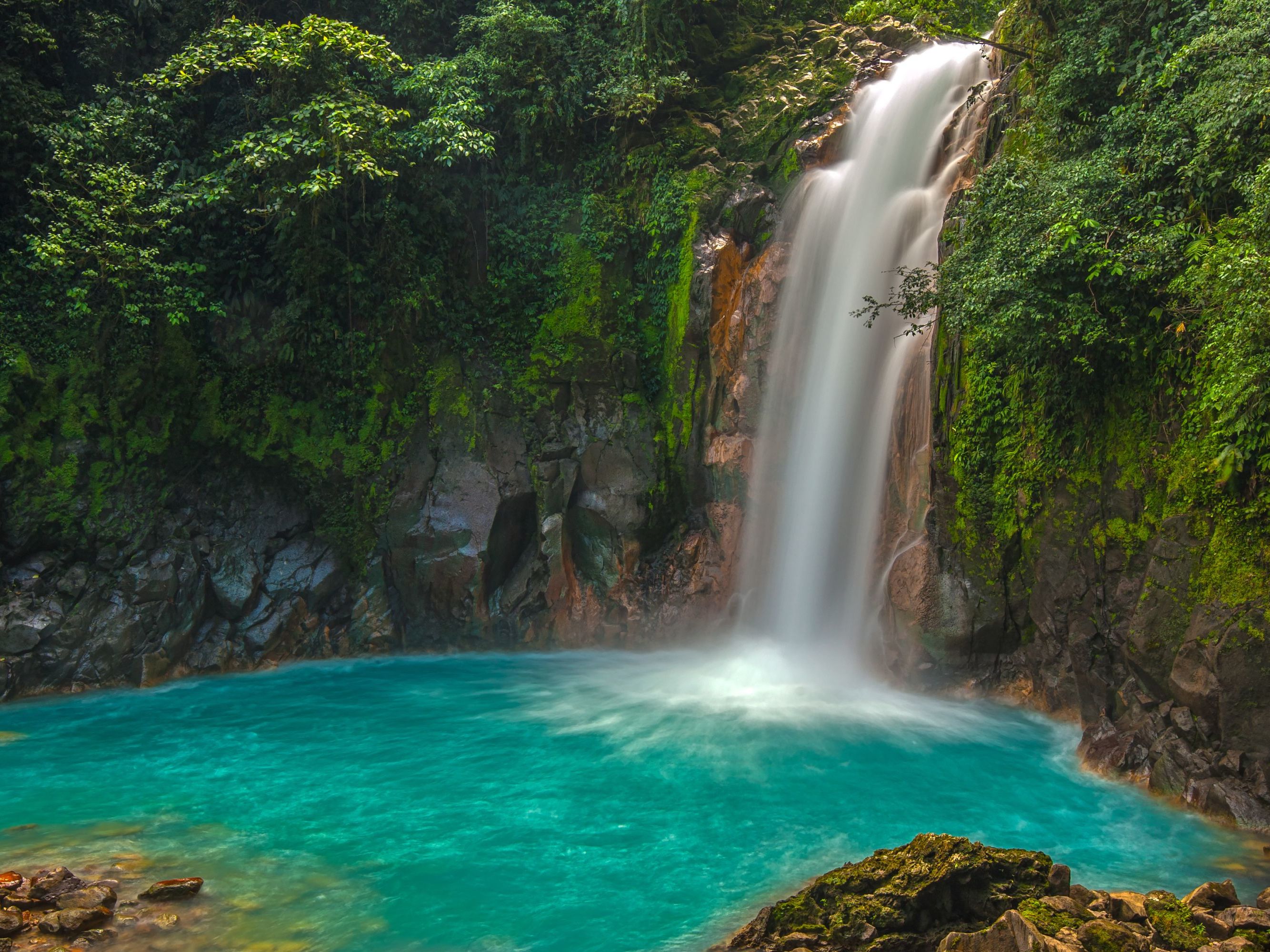Rio Celeste & Tenorio Hike