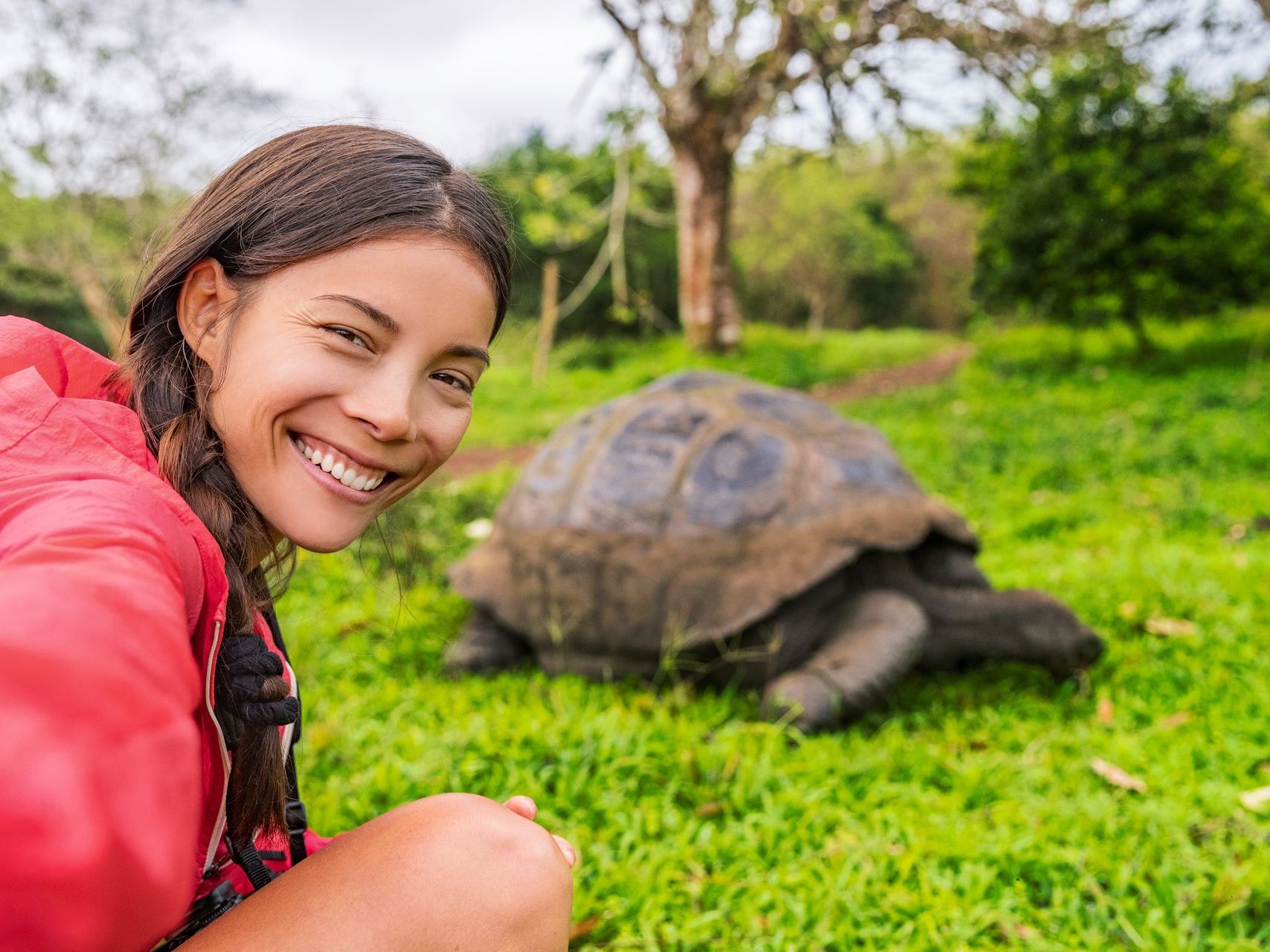 Tortises, Lava Tunnels & Galapagos Safari Camp