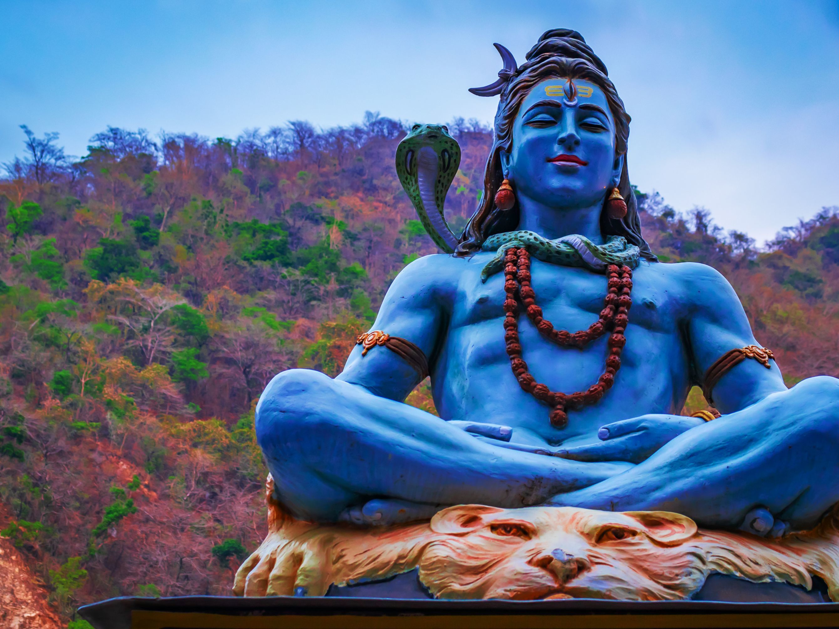 Introducing Rishikesh