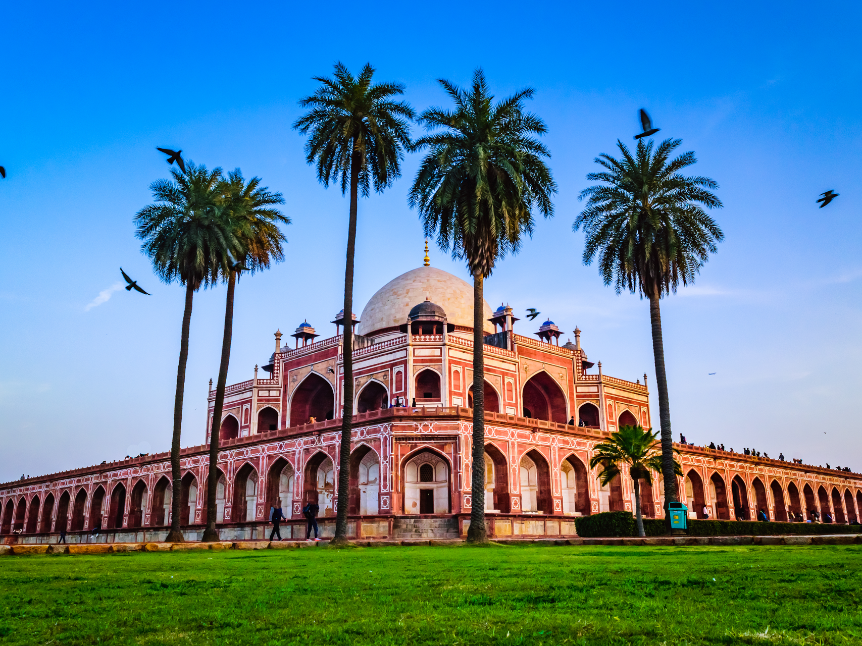 Explore New Delhi