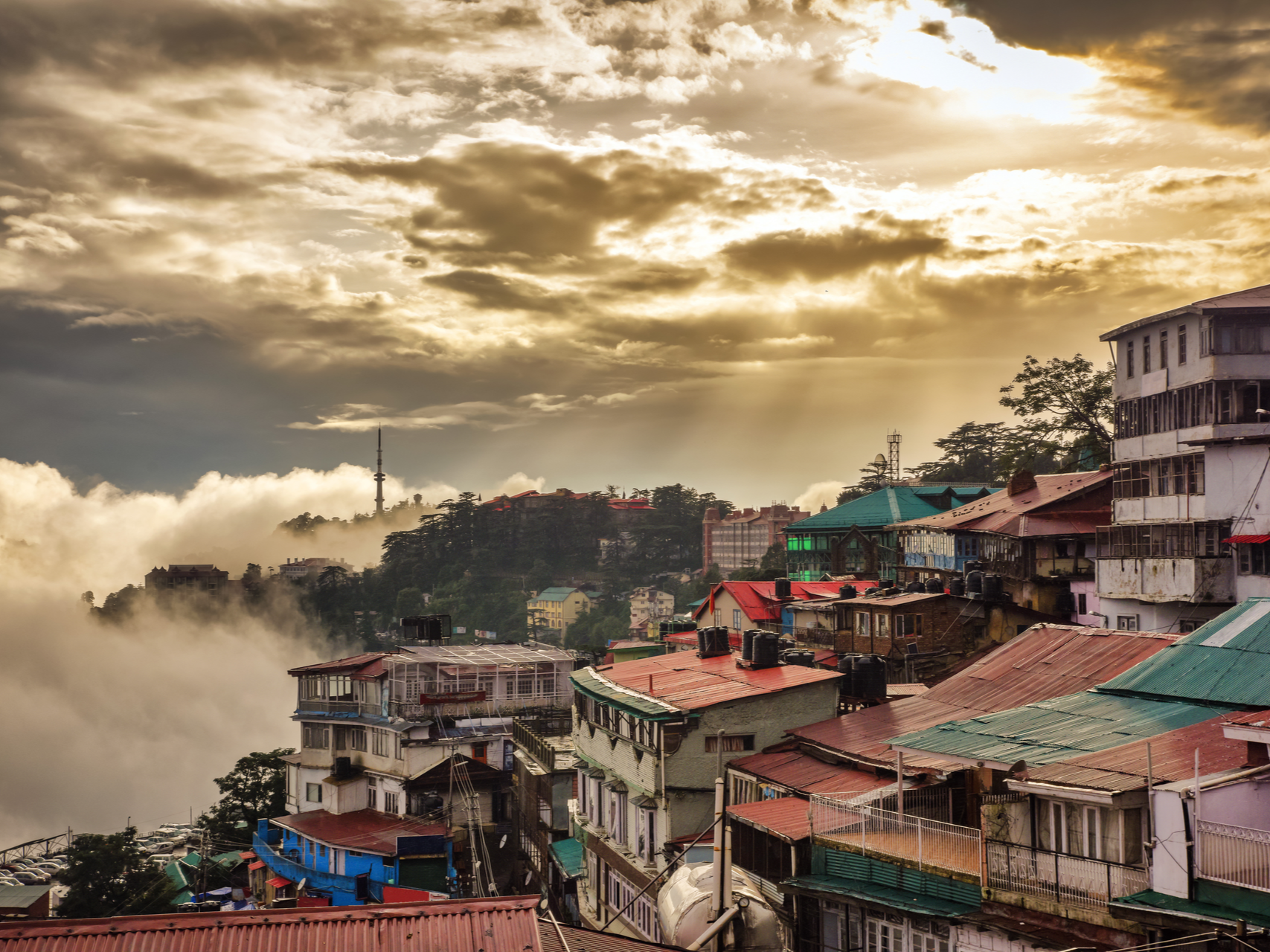 Guided Visit of Shimla