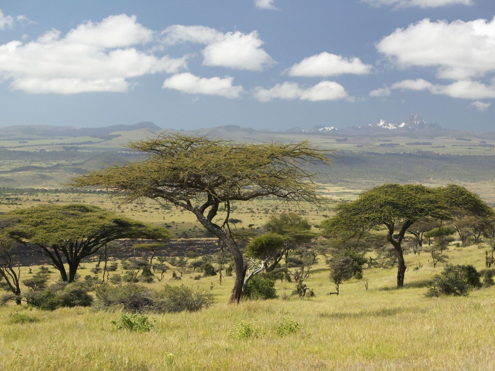 Lewa Wildlife Conservancy