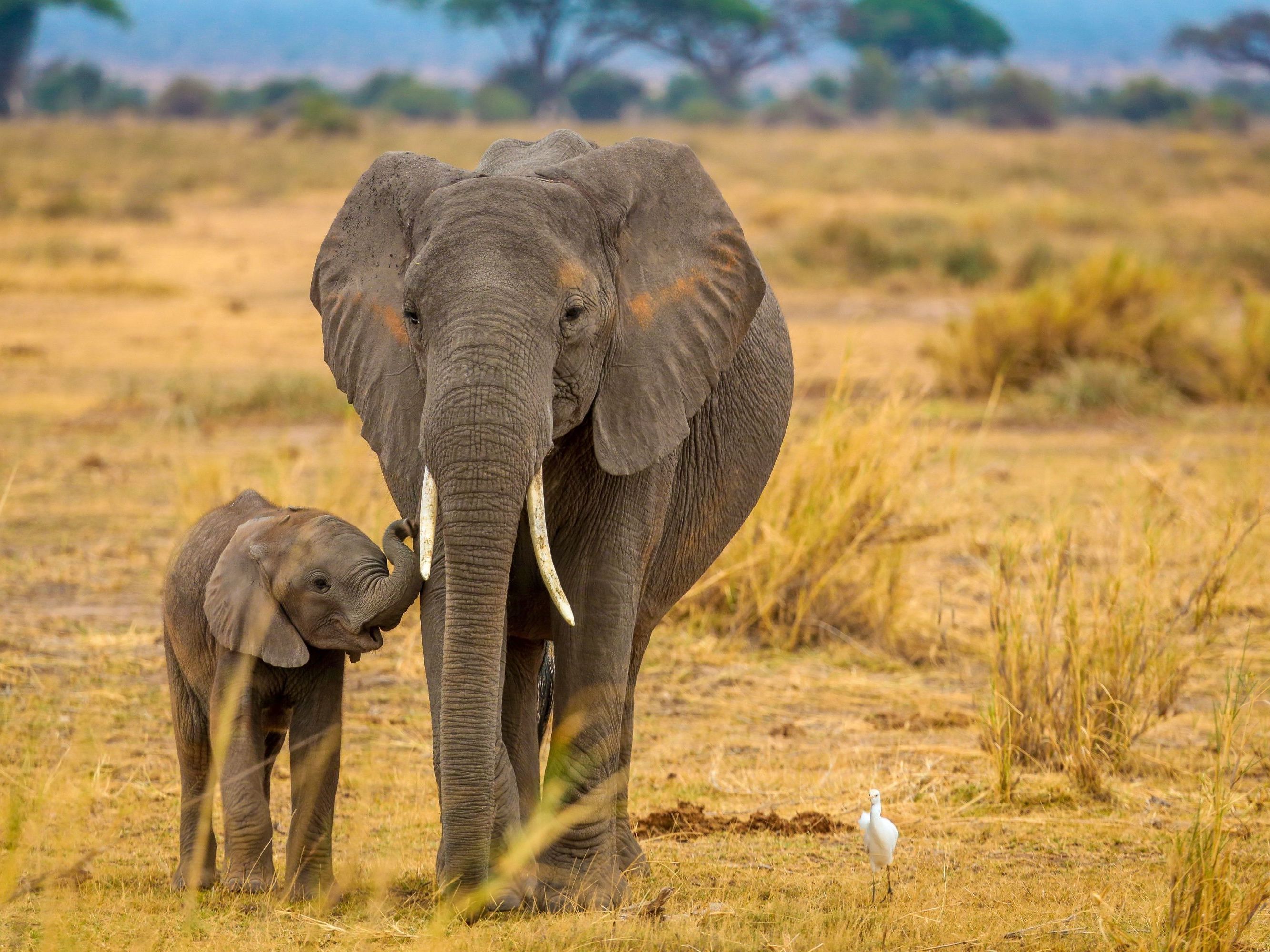 Northern Serengeti National Park