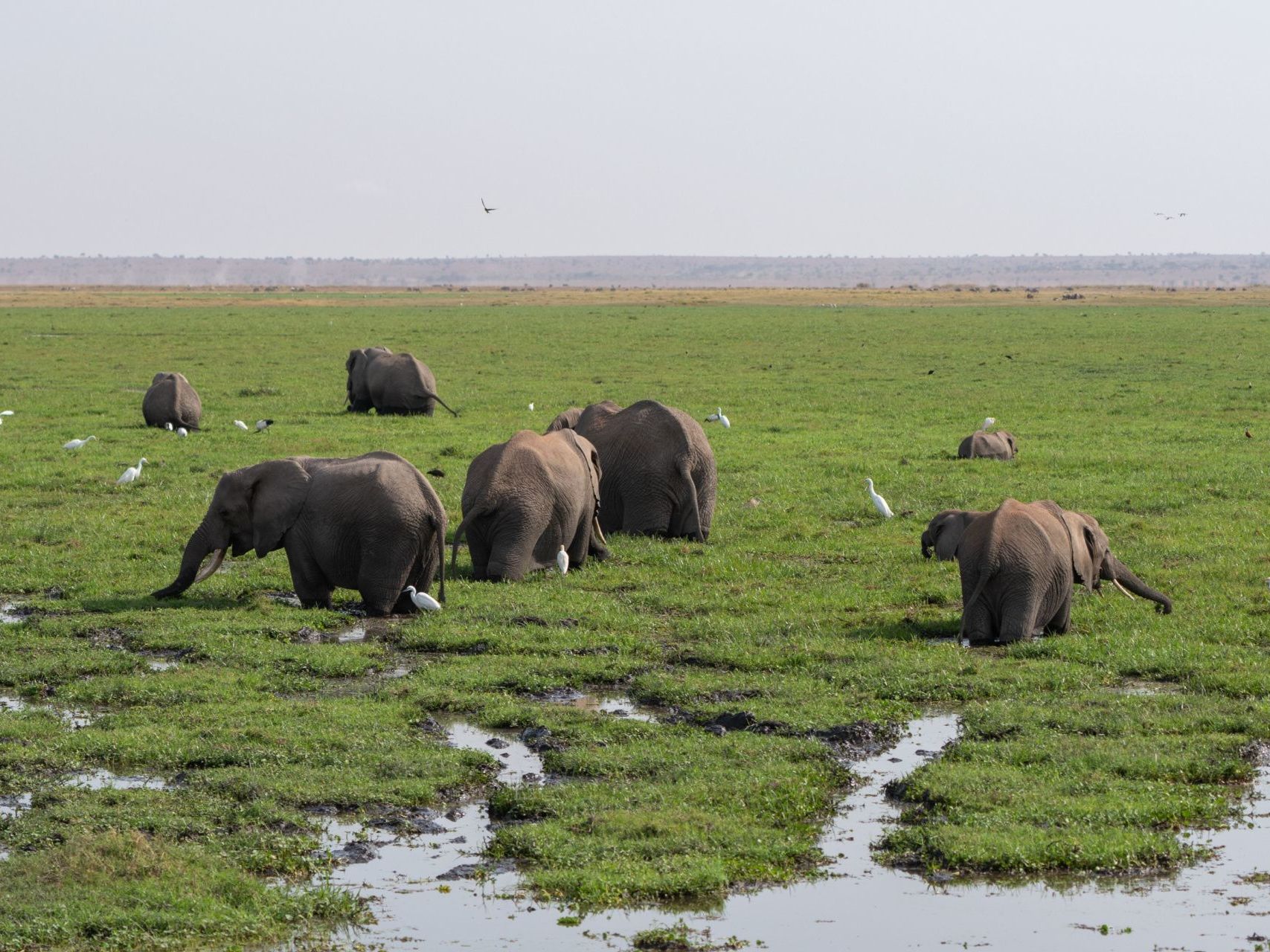 Amboseli National Park