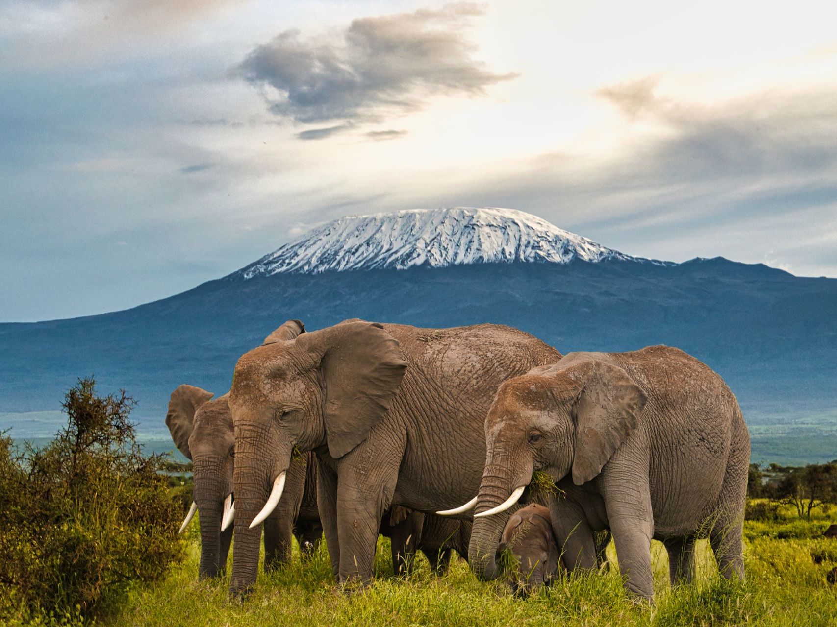 Game Drives in Amboseli National Park