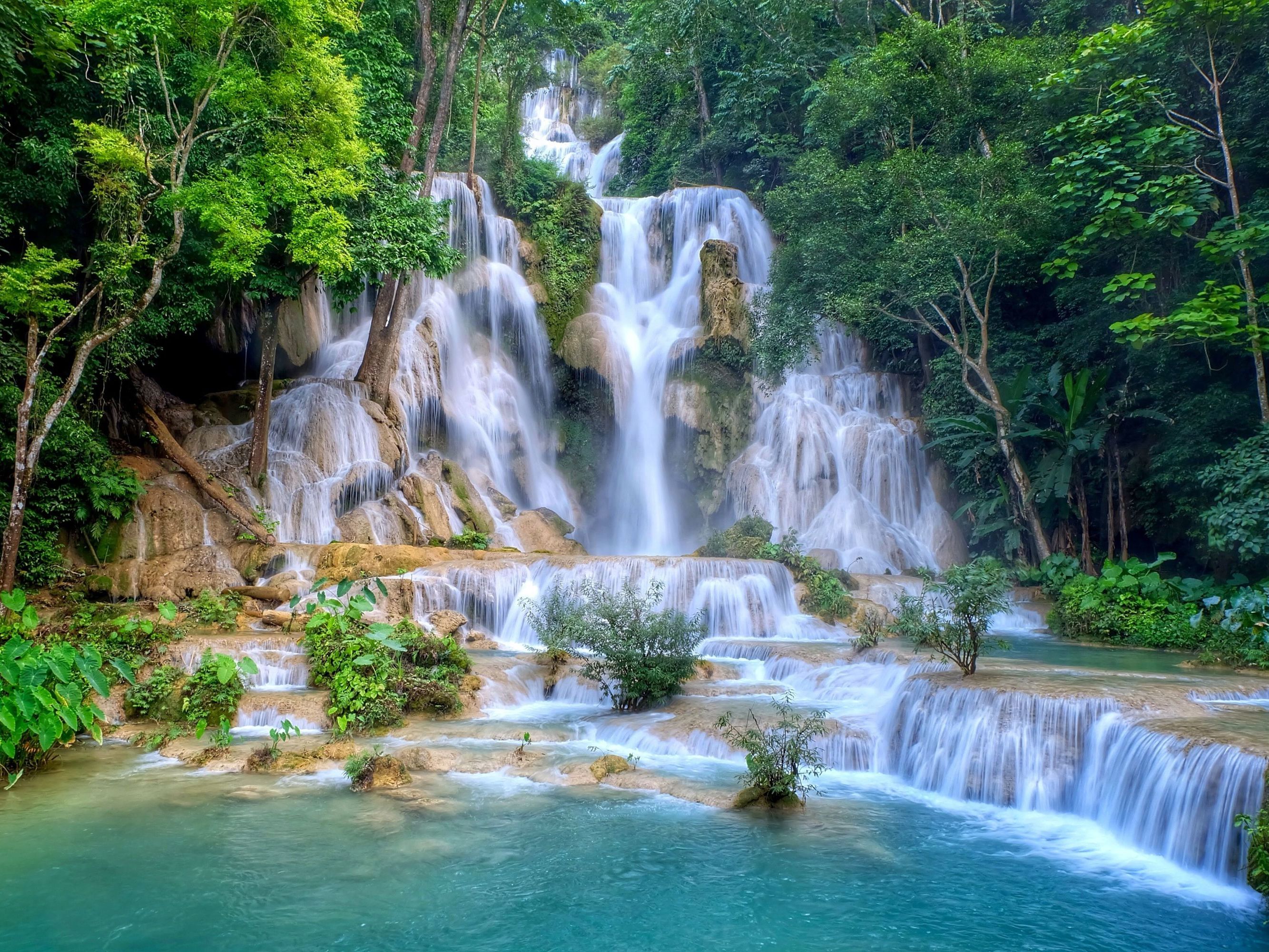 Morning Alms Ceremony and Kuang Si Waterfall Visit