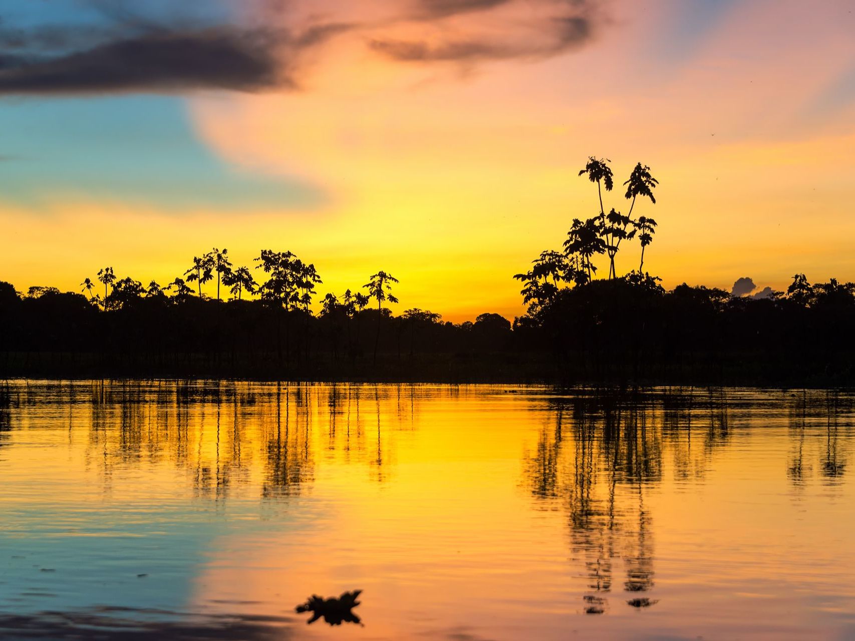 Full days exploring the Amazon basin on your luxury cruise vessel