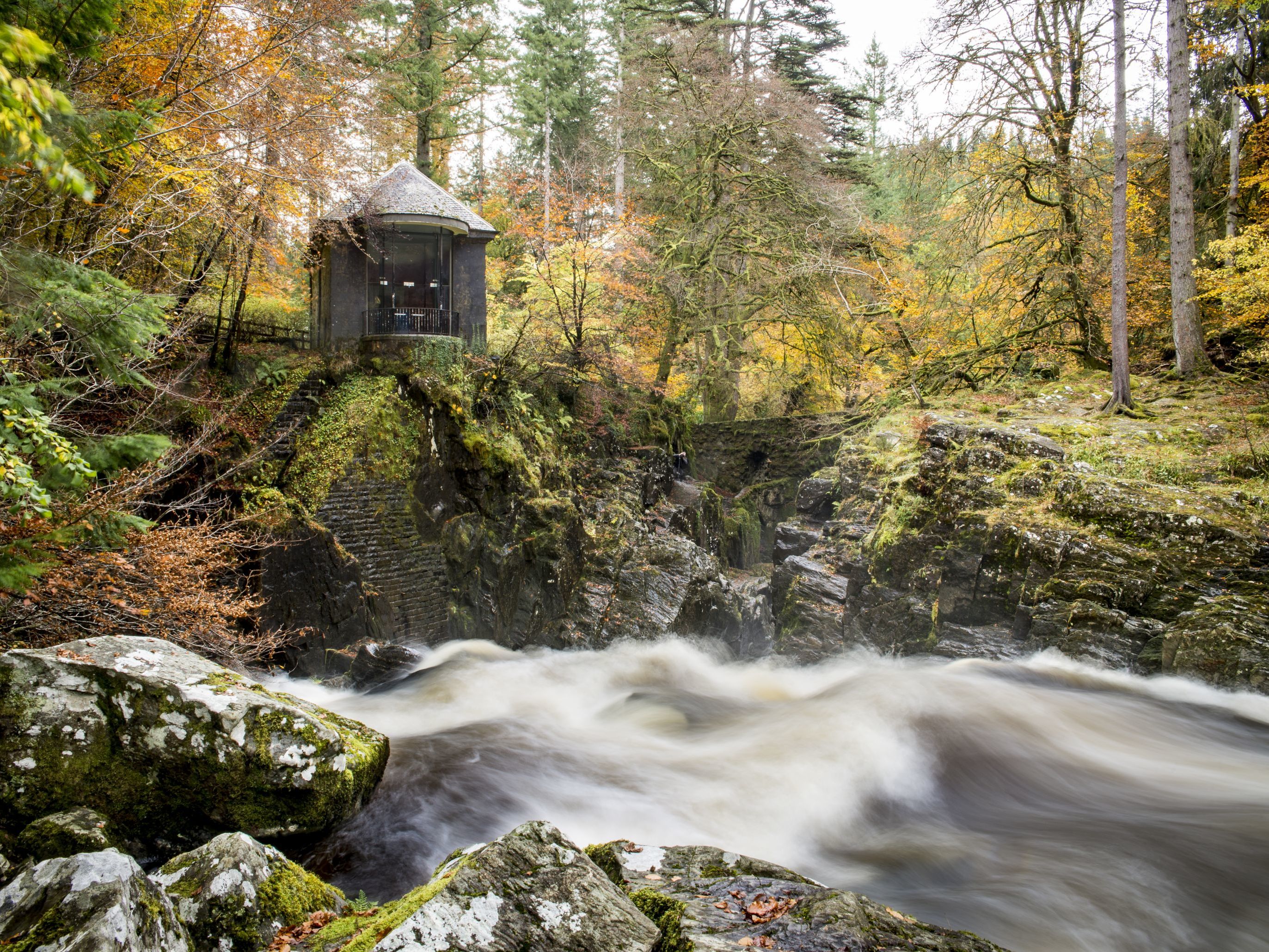 Transfer to Edinburgh