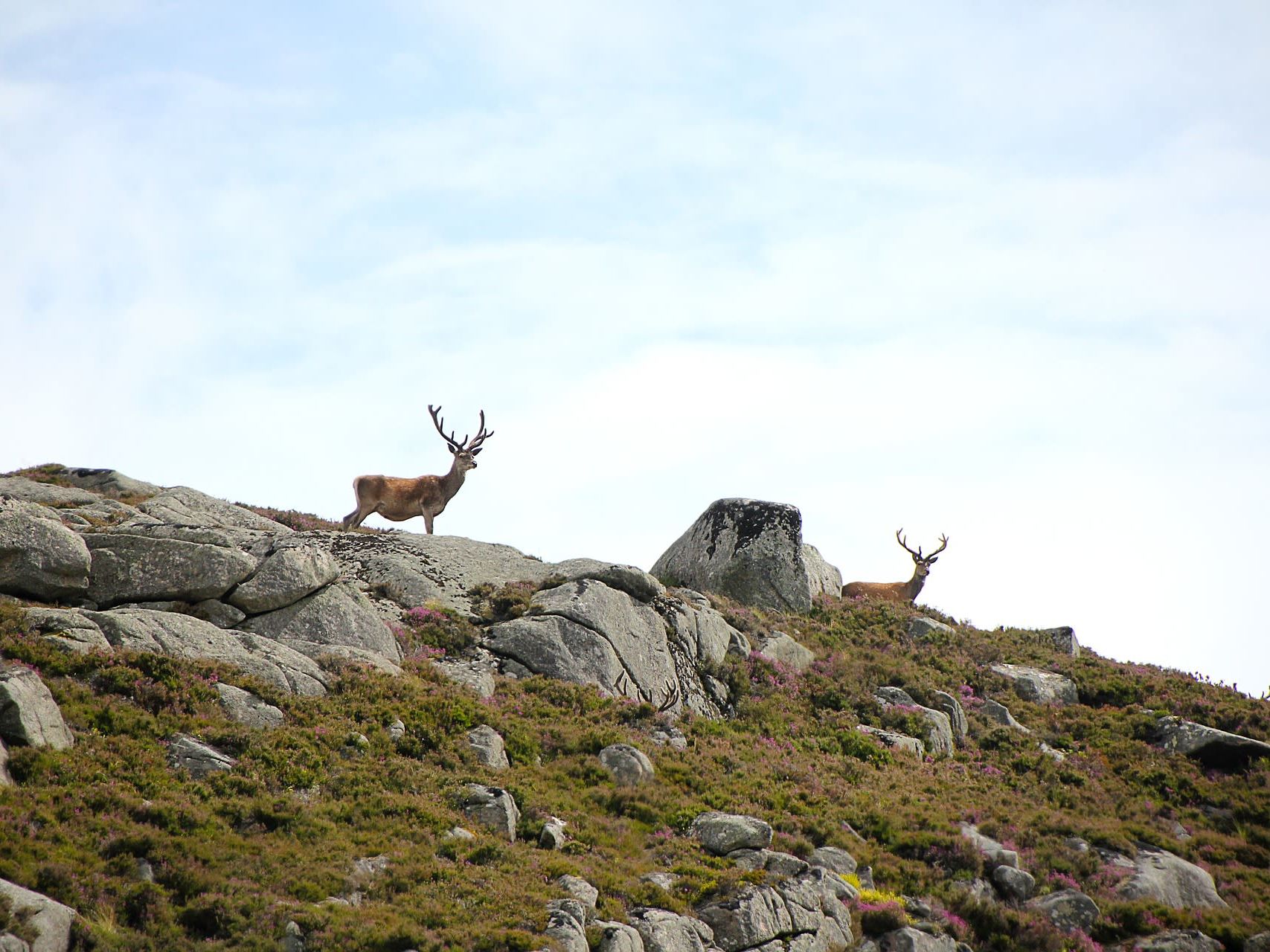 Travel from the North Coast to the Summer Isles