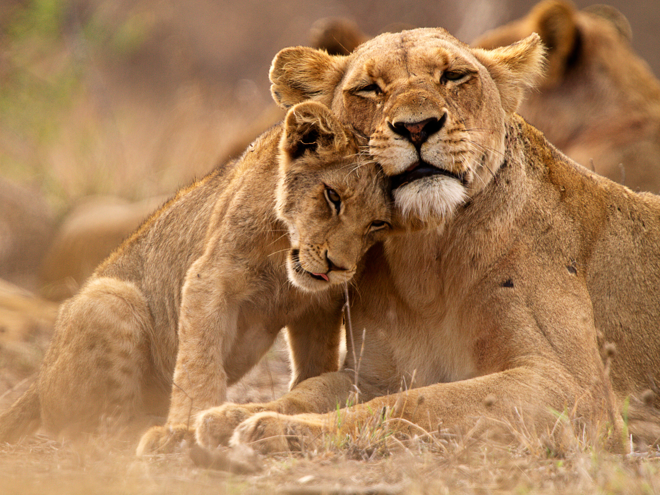 South Etosha National Park