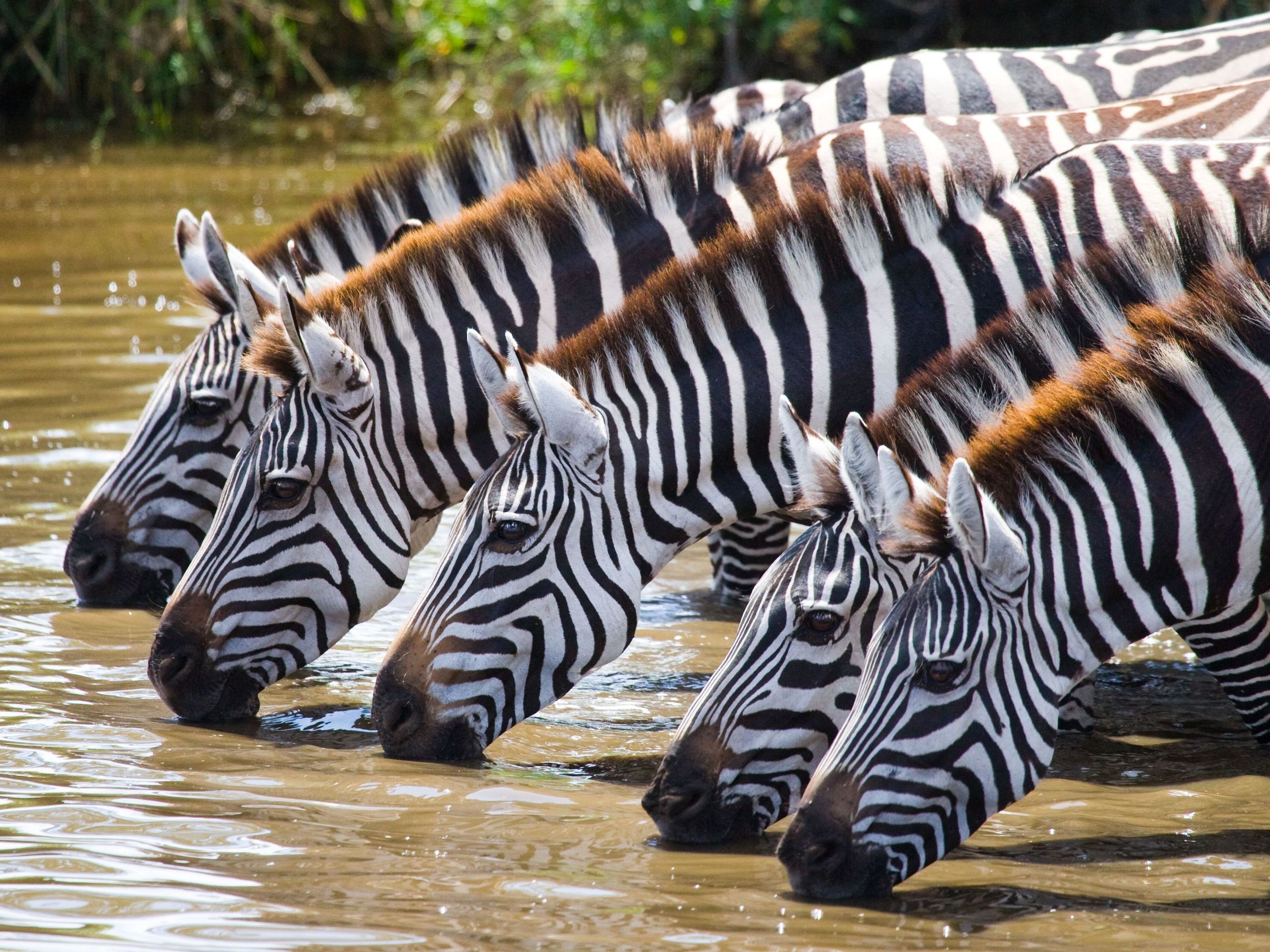 Northern Serengeti National Park