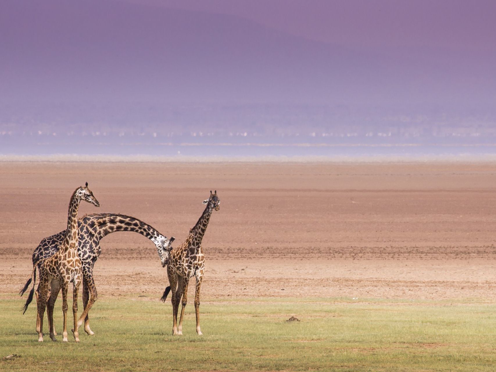 Lake Manyara