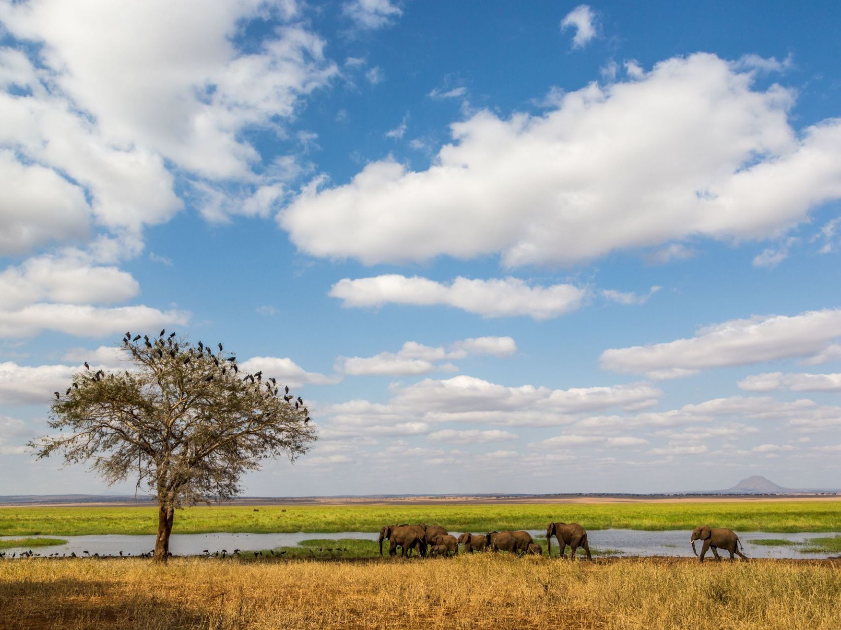 Introducing Tarangire National Park