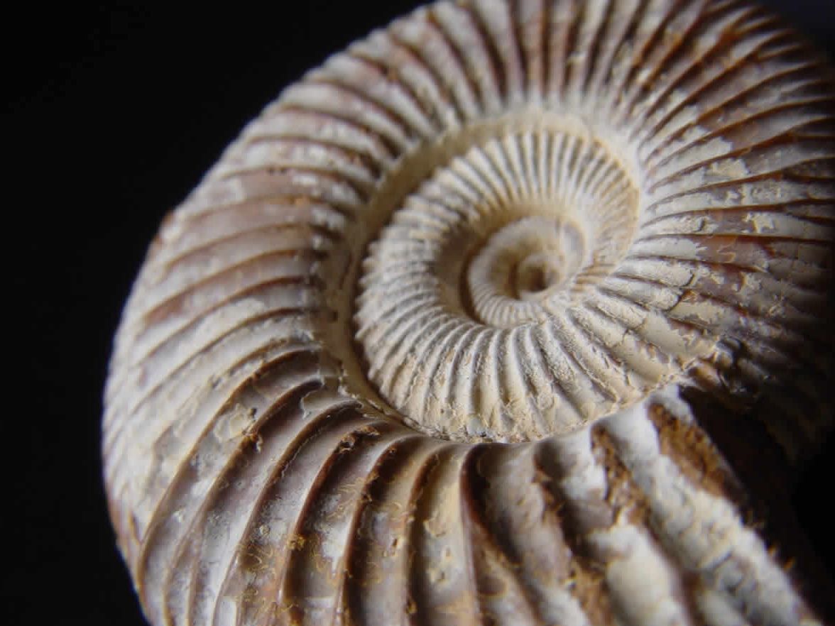 Days at Leisure in Villa de Leyva