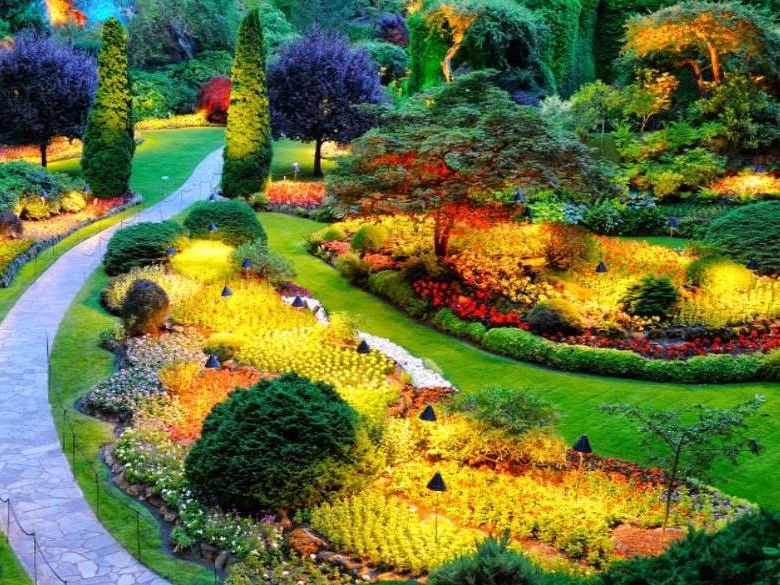 Kandy - Guided Visit including the Royal Botanical Gardens