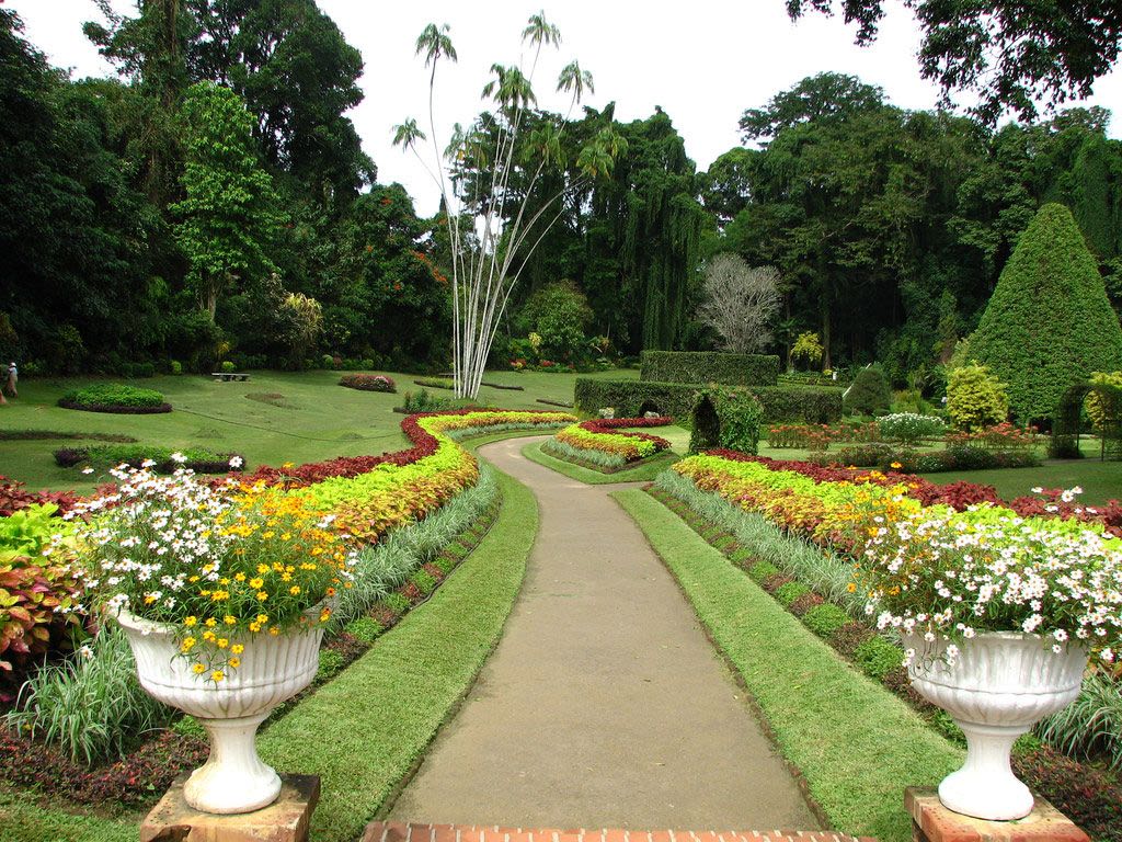Kandy - Guided Visit including the Royal Botanical Gardens