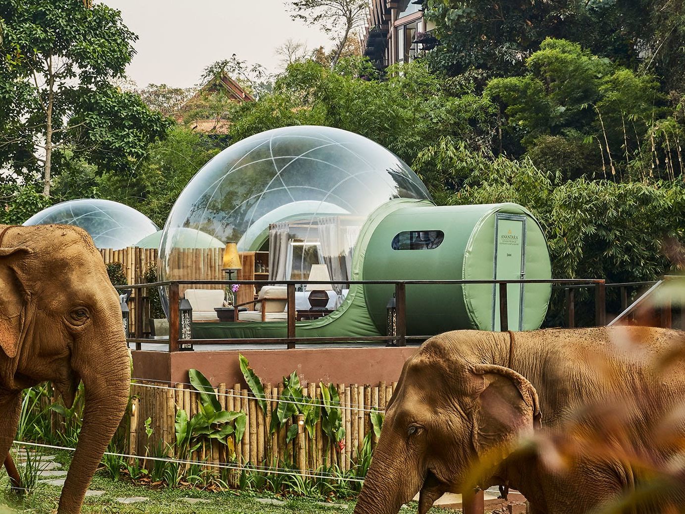 Anantara Golden Triangle Chiang Rai