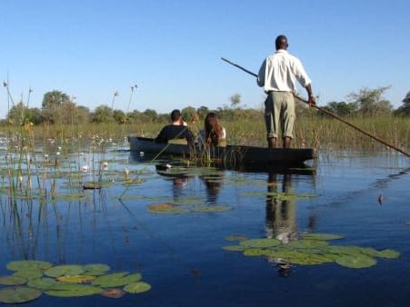 On safari in the Okavango Delta